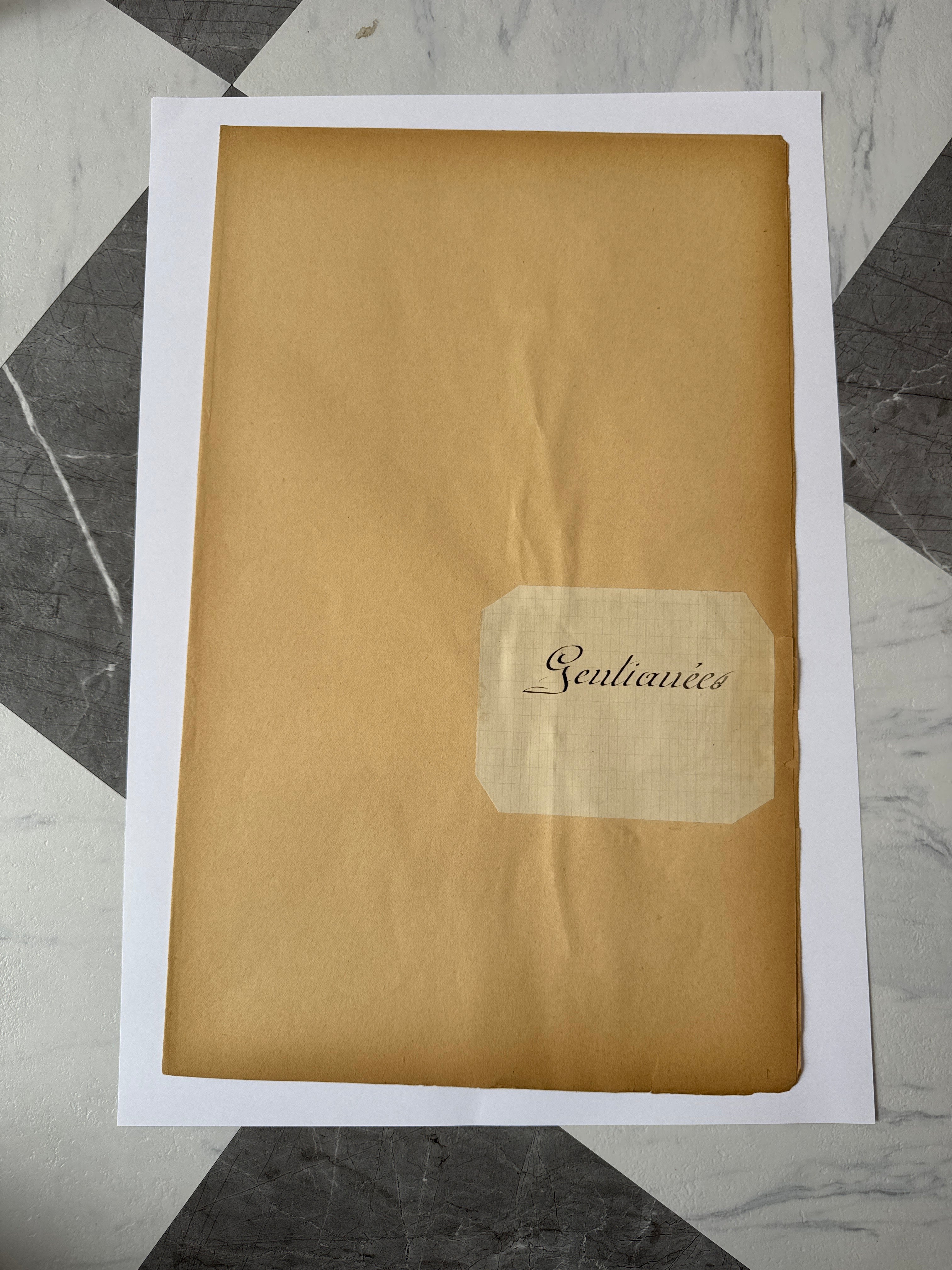 Herbarium Gen folder