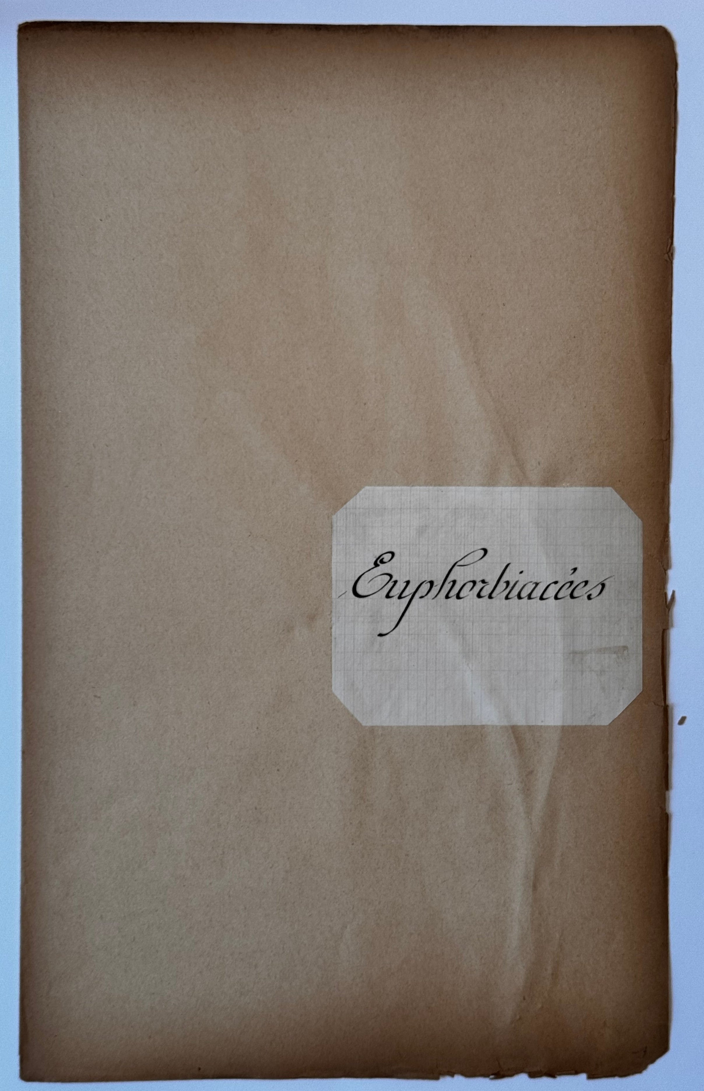 Herbarium E folder