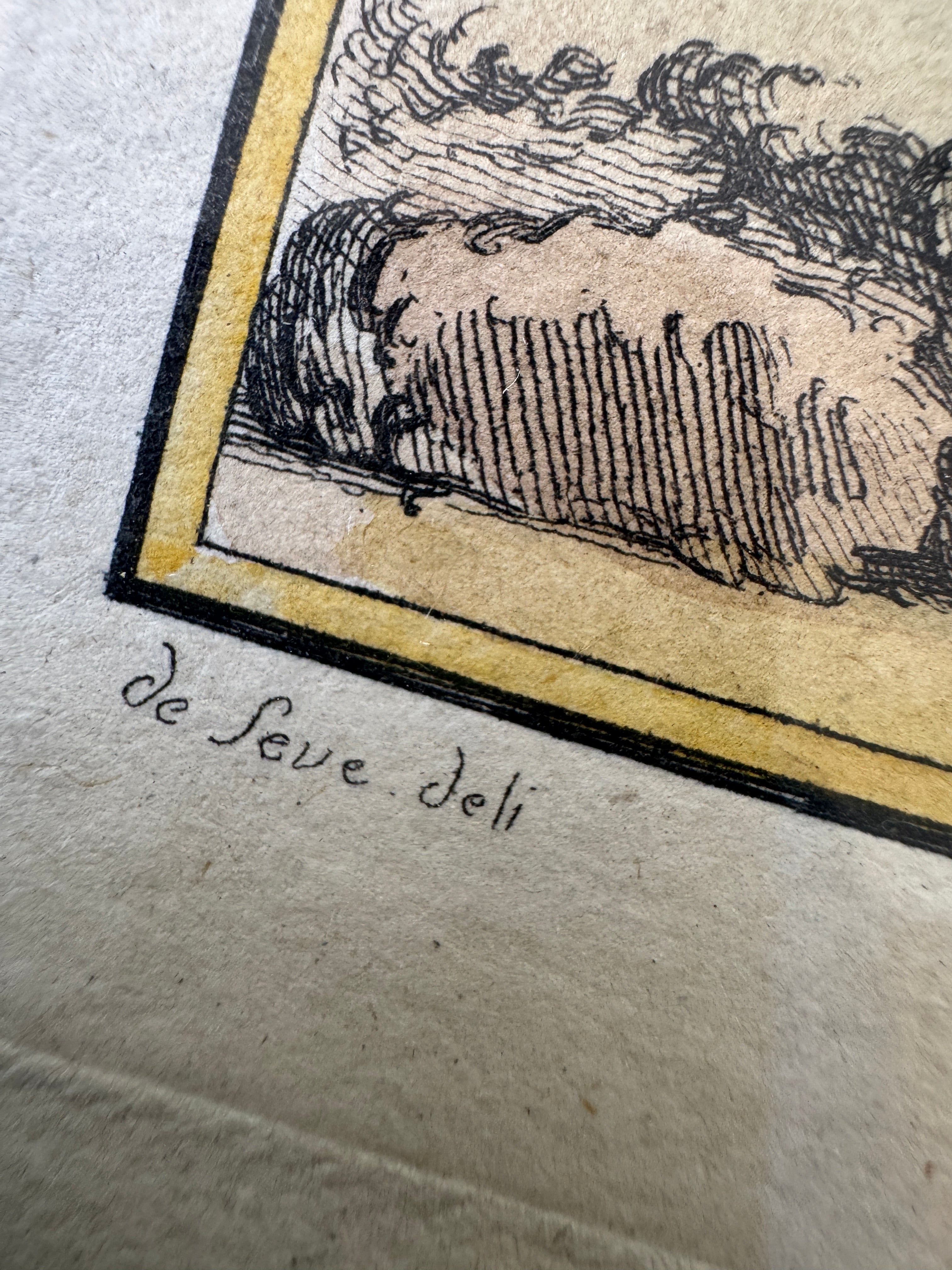 Antique French de Buffon Bird Engraving, La Cigogne, Hand Colored, 18th Century