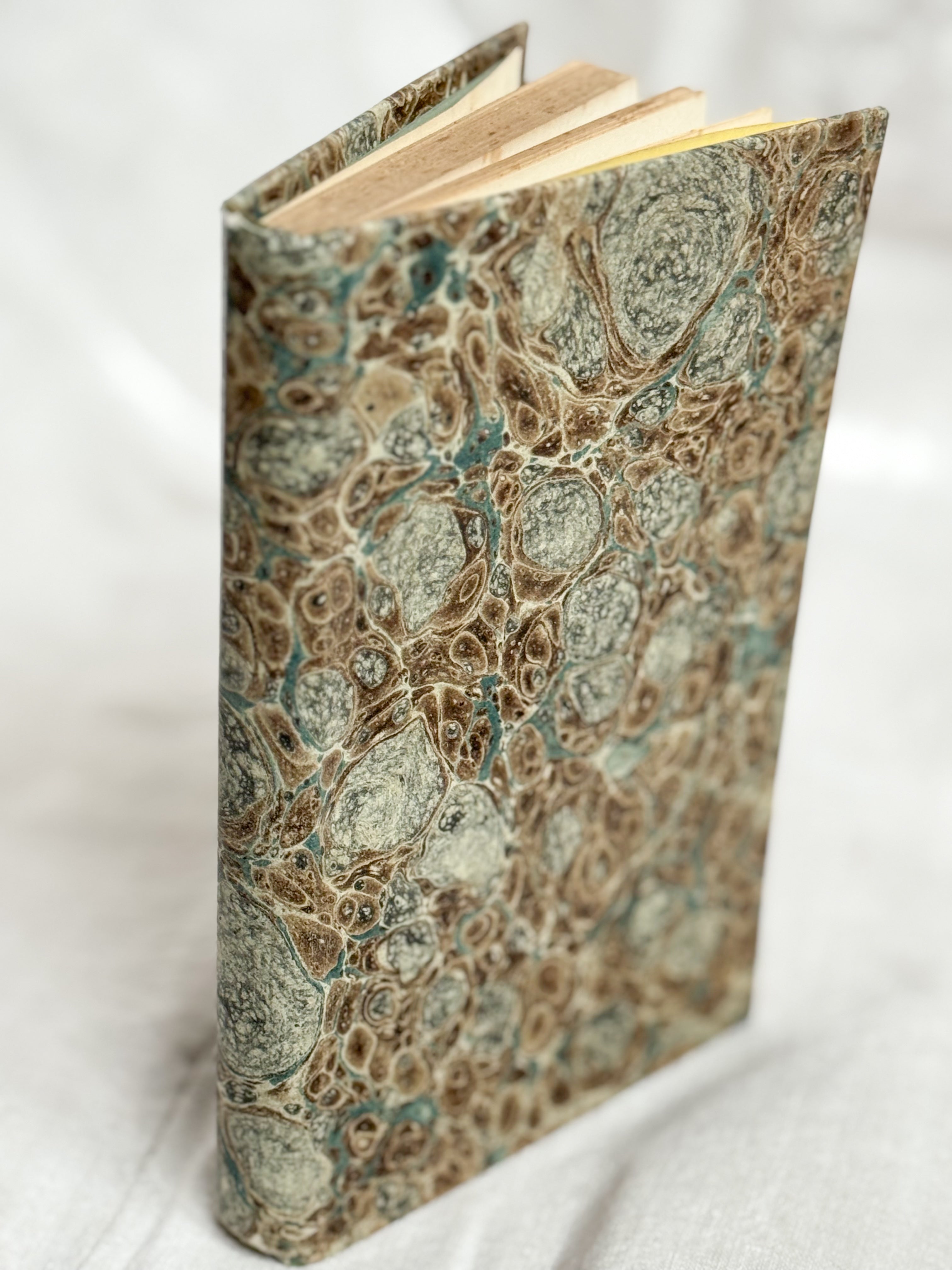 Les Phénomènes Terrestres, Paris 1870