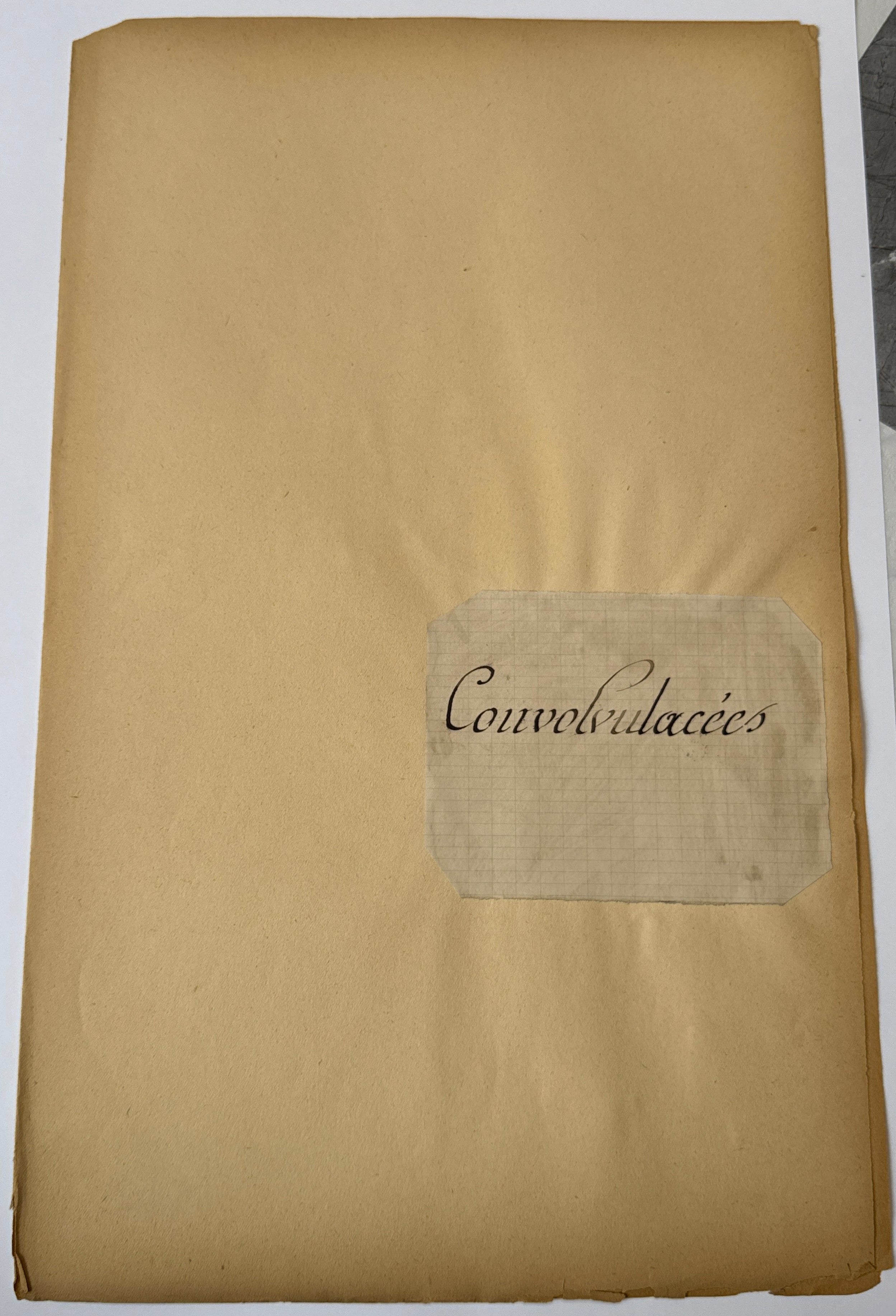 Herbarium Co folder