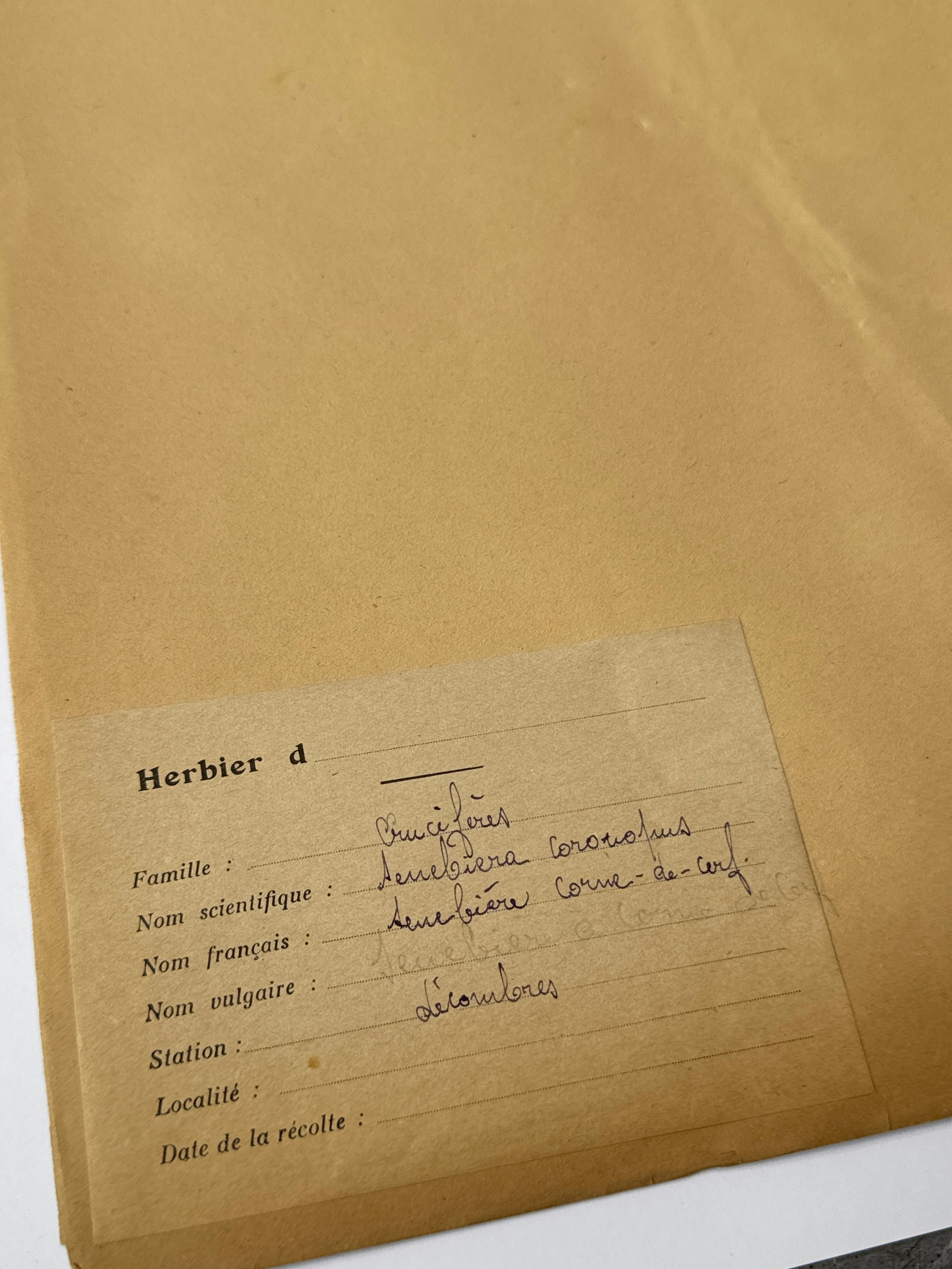 Herbarium Cr 1