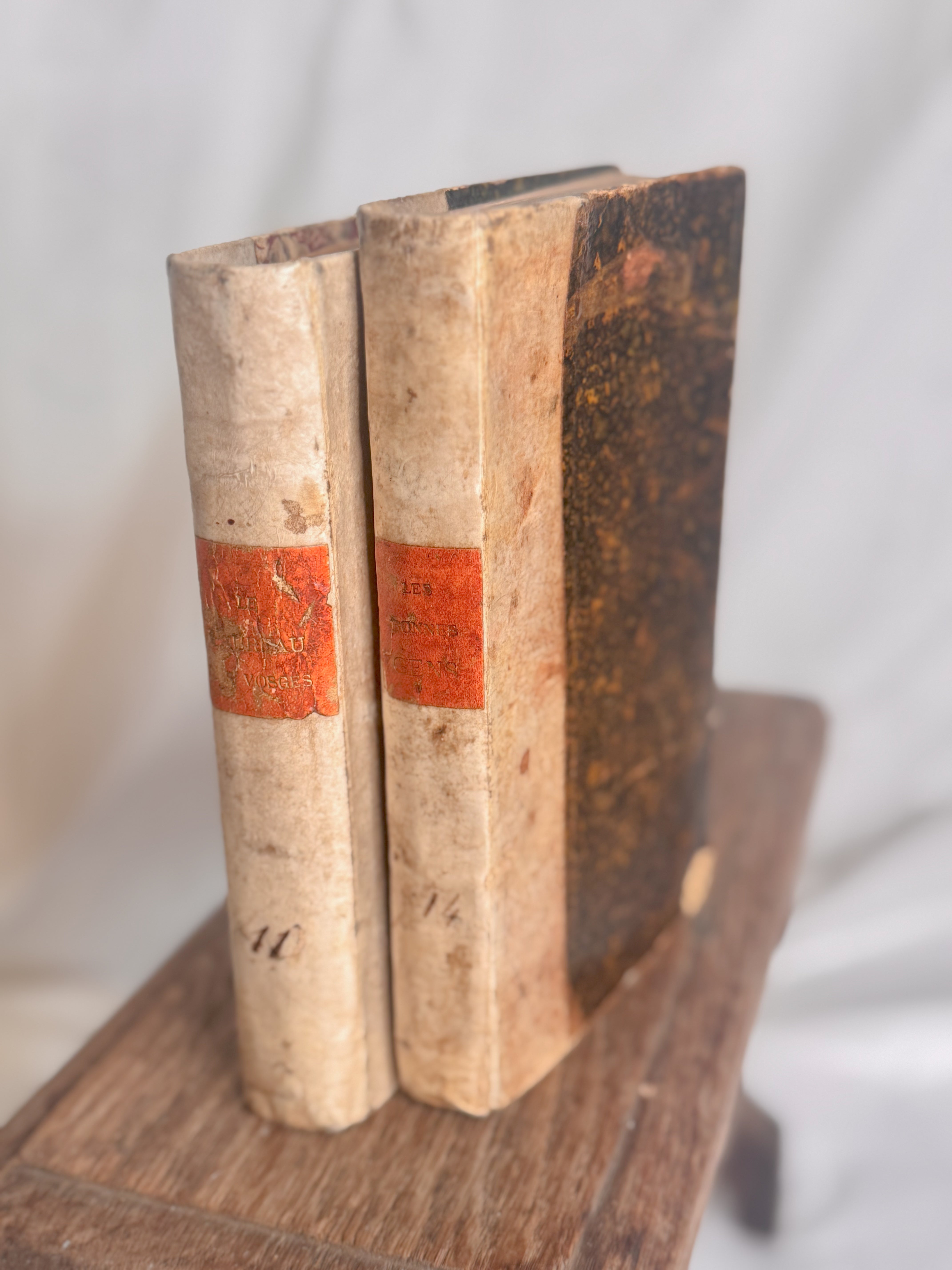 Set of Two 19th-Century French vellum Books from a Circulating Library