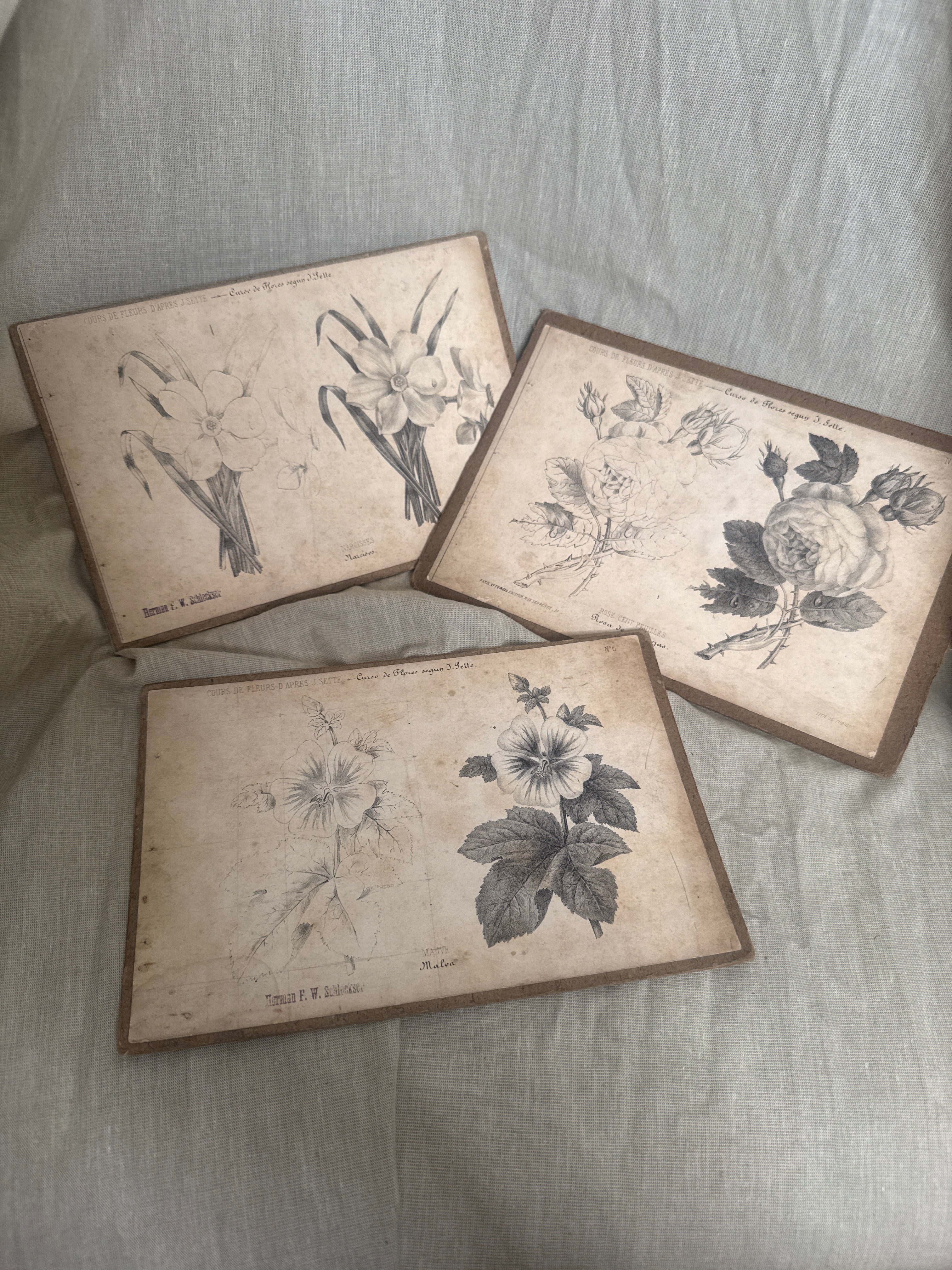 Trio of French floral lithographs