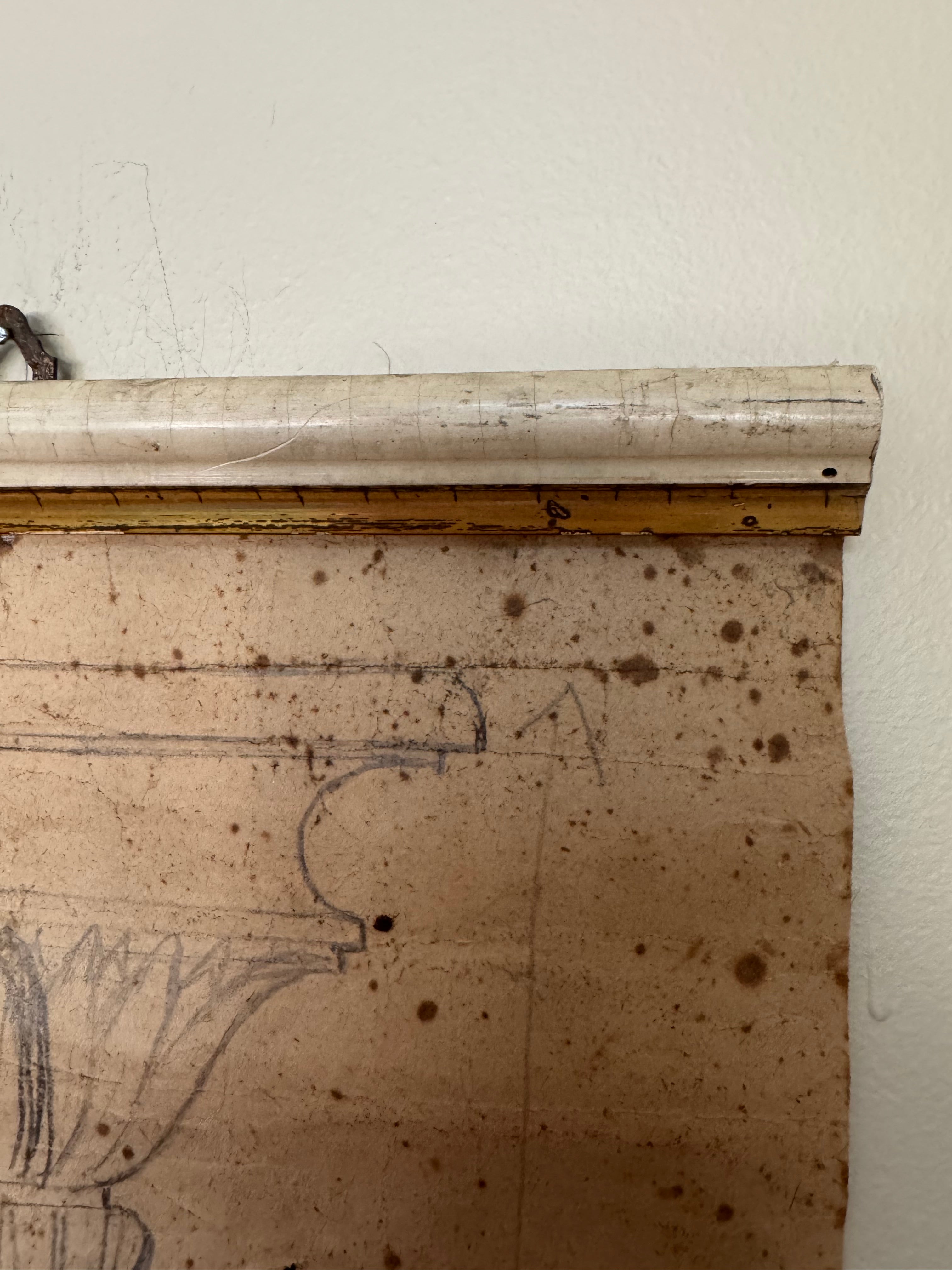 19th Century Italian Atelier Scroll Drawing