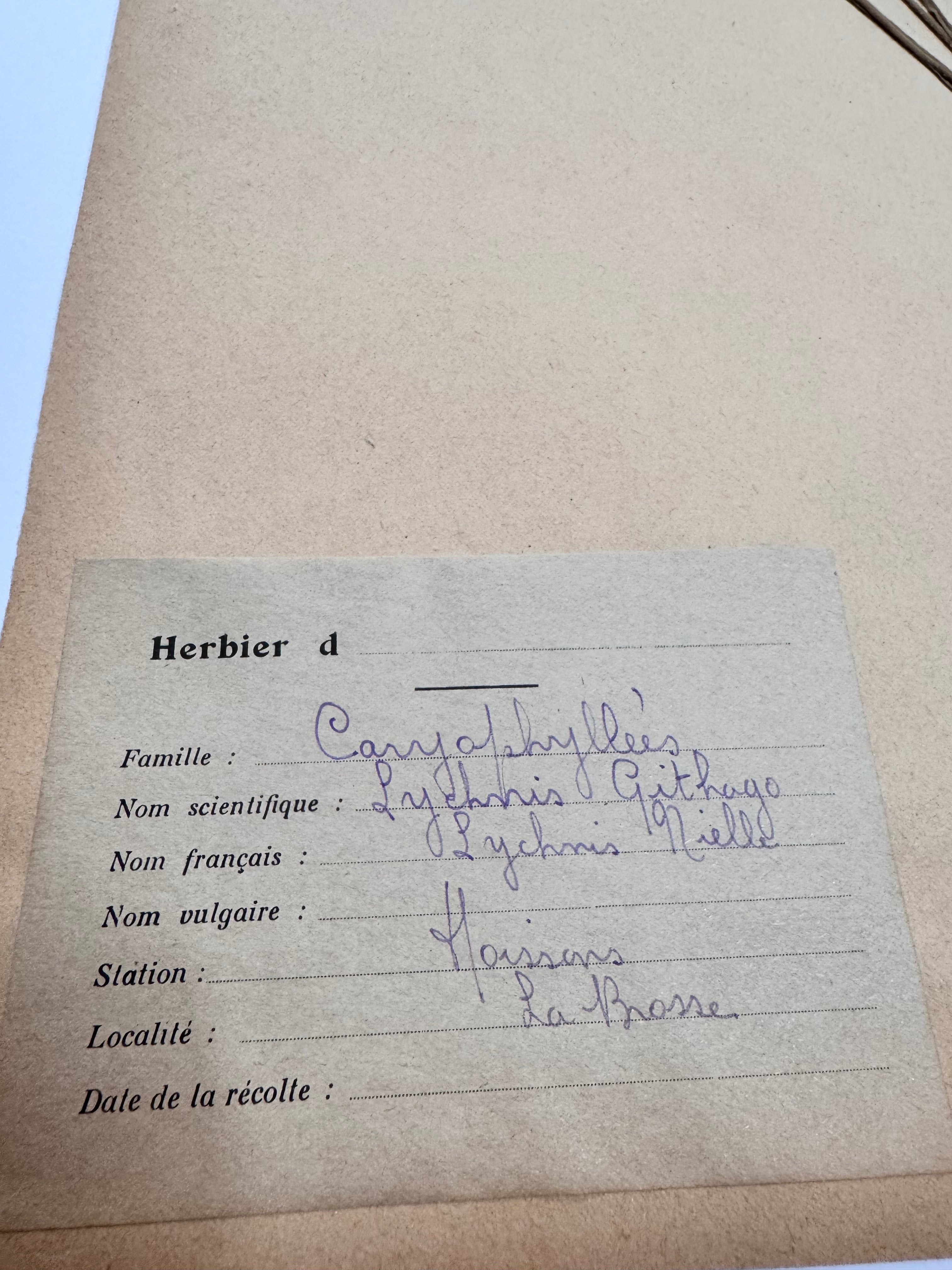 Herbarium Car 1