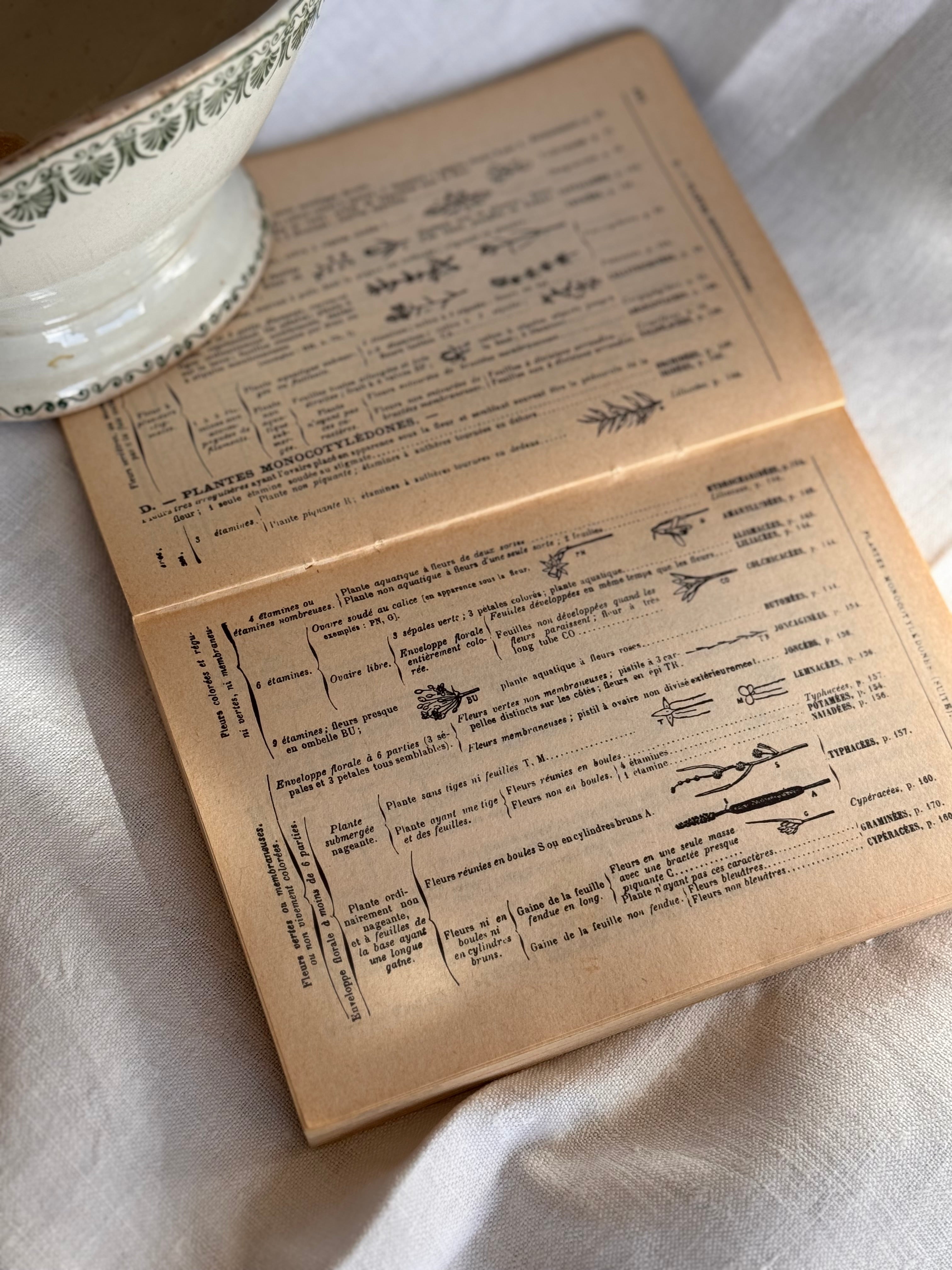 Vintage French botanical classic reference book