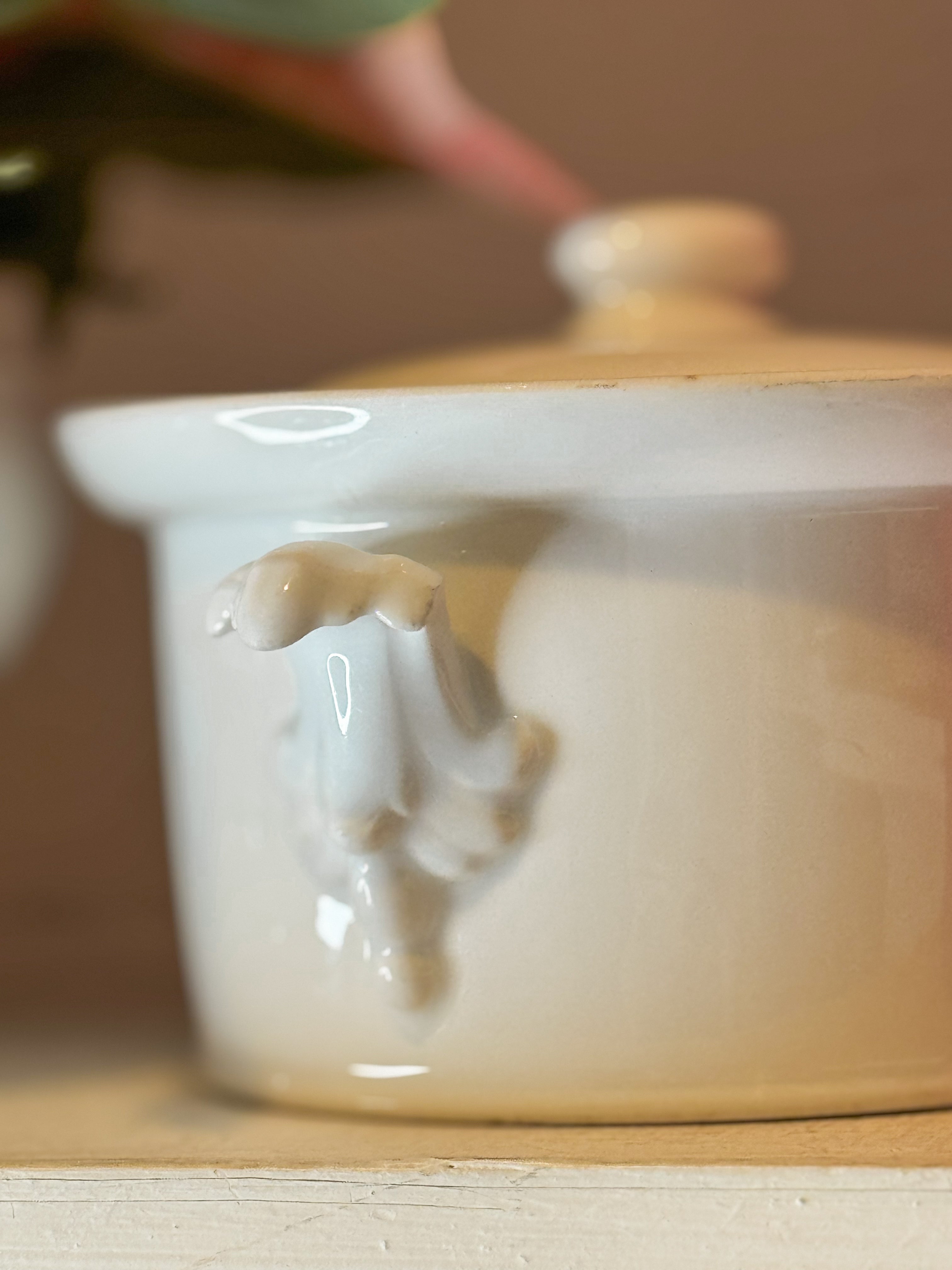 Vintage French Ironstone Terrine