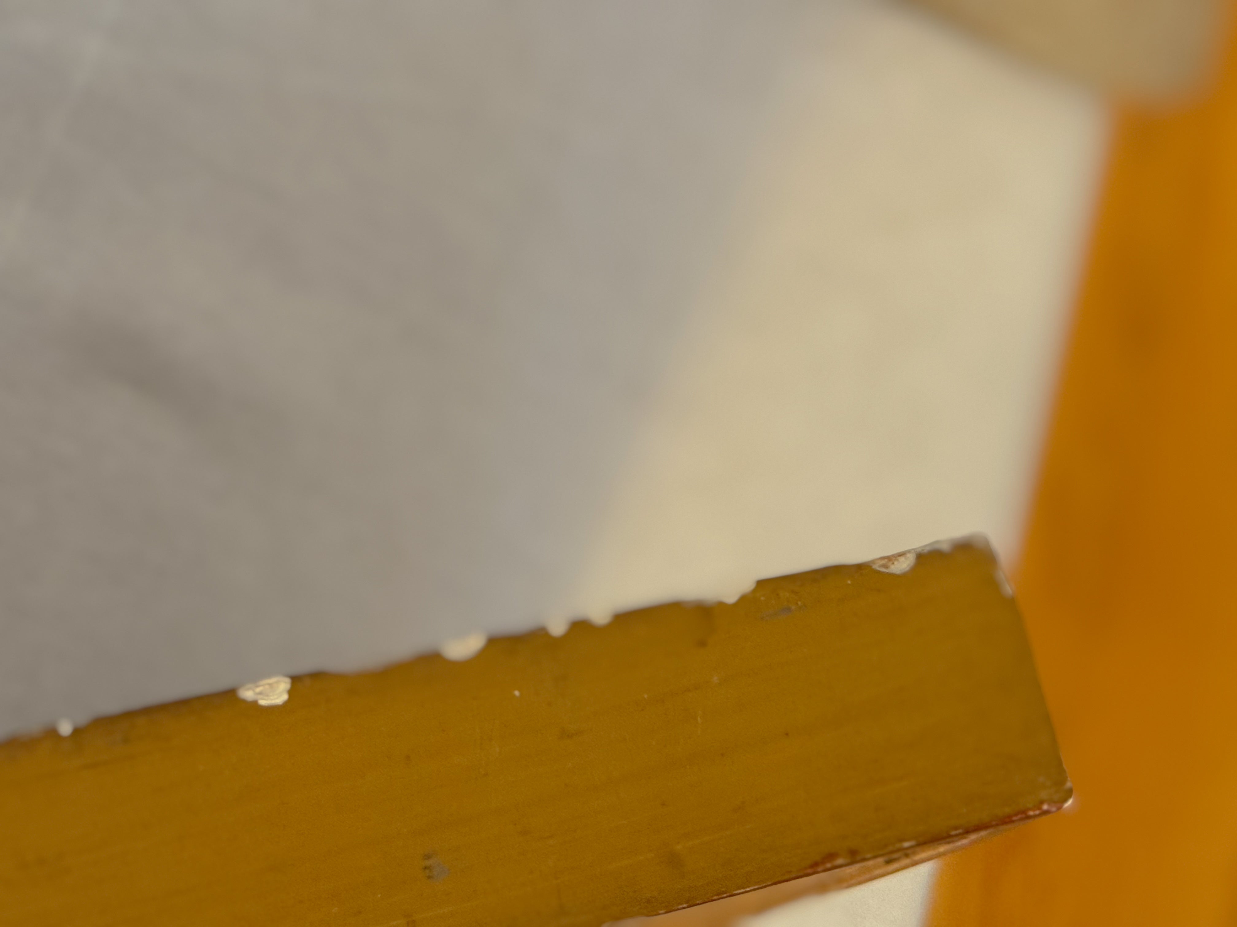 Bas Relief in Antique Gilt Frame