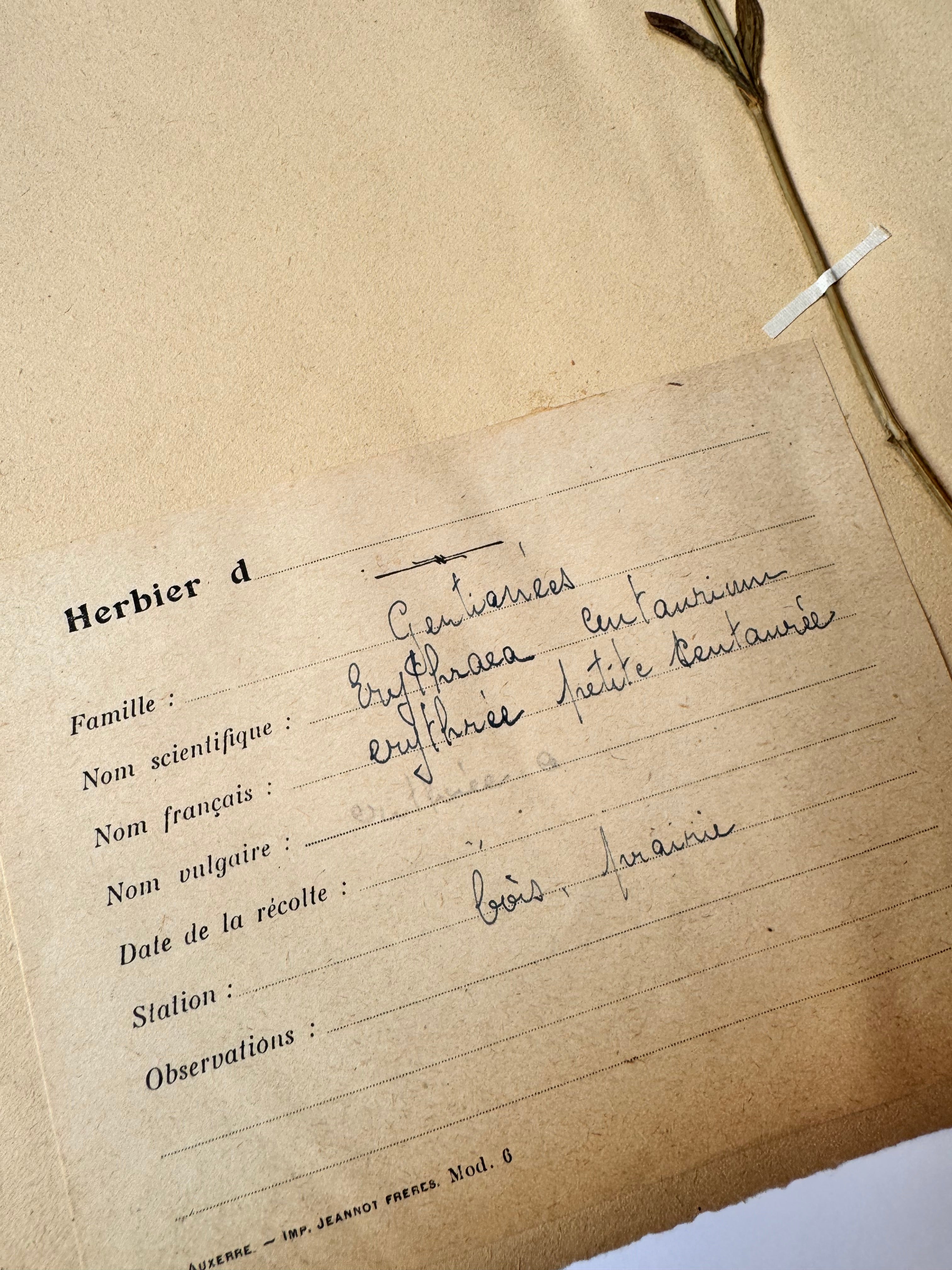 Herbarium Gen 1