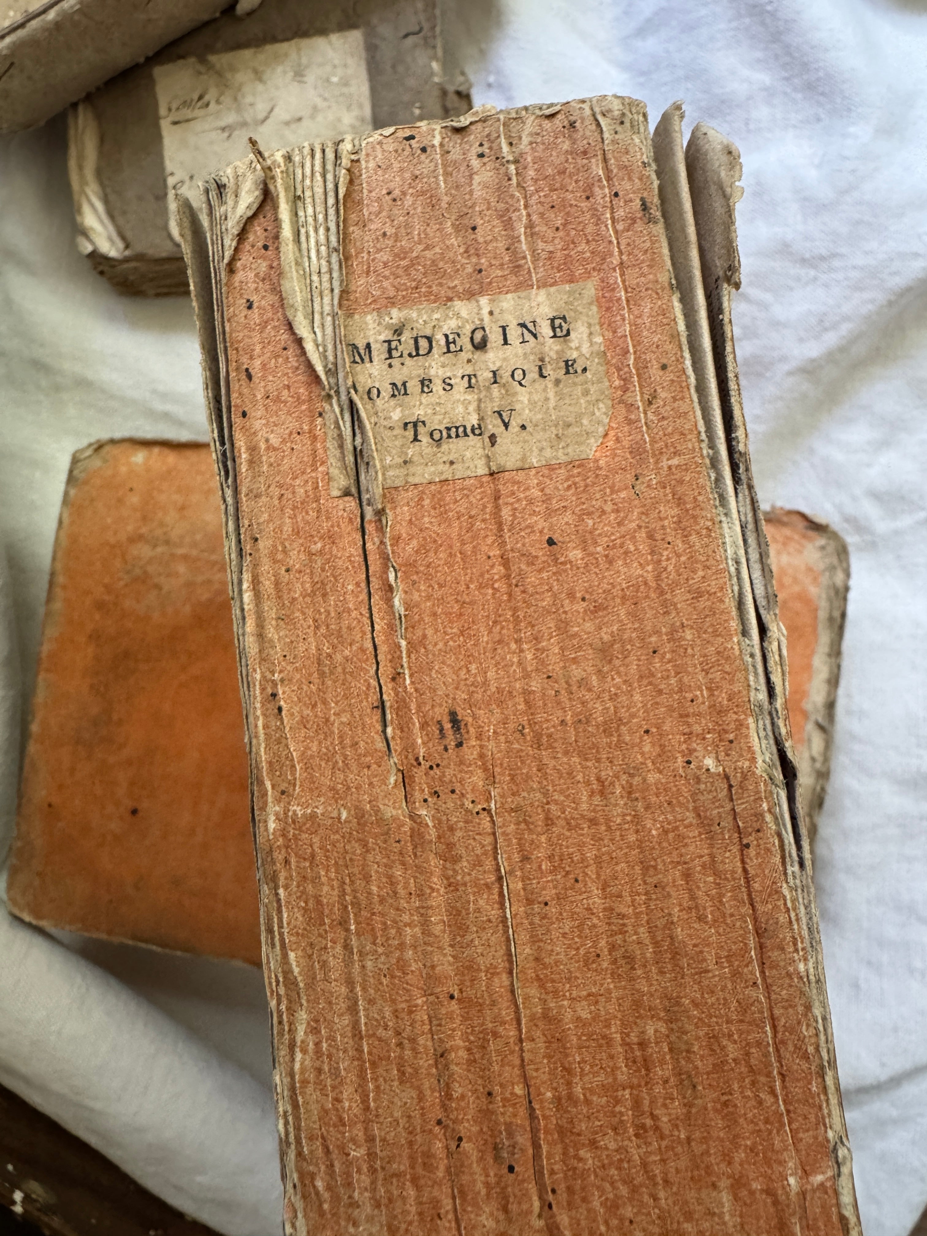 Antique French Medical Books, Médecine Domestique, 1802 (Set of Three)