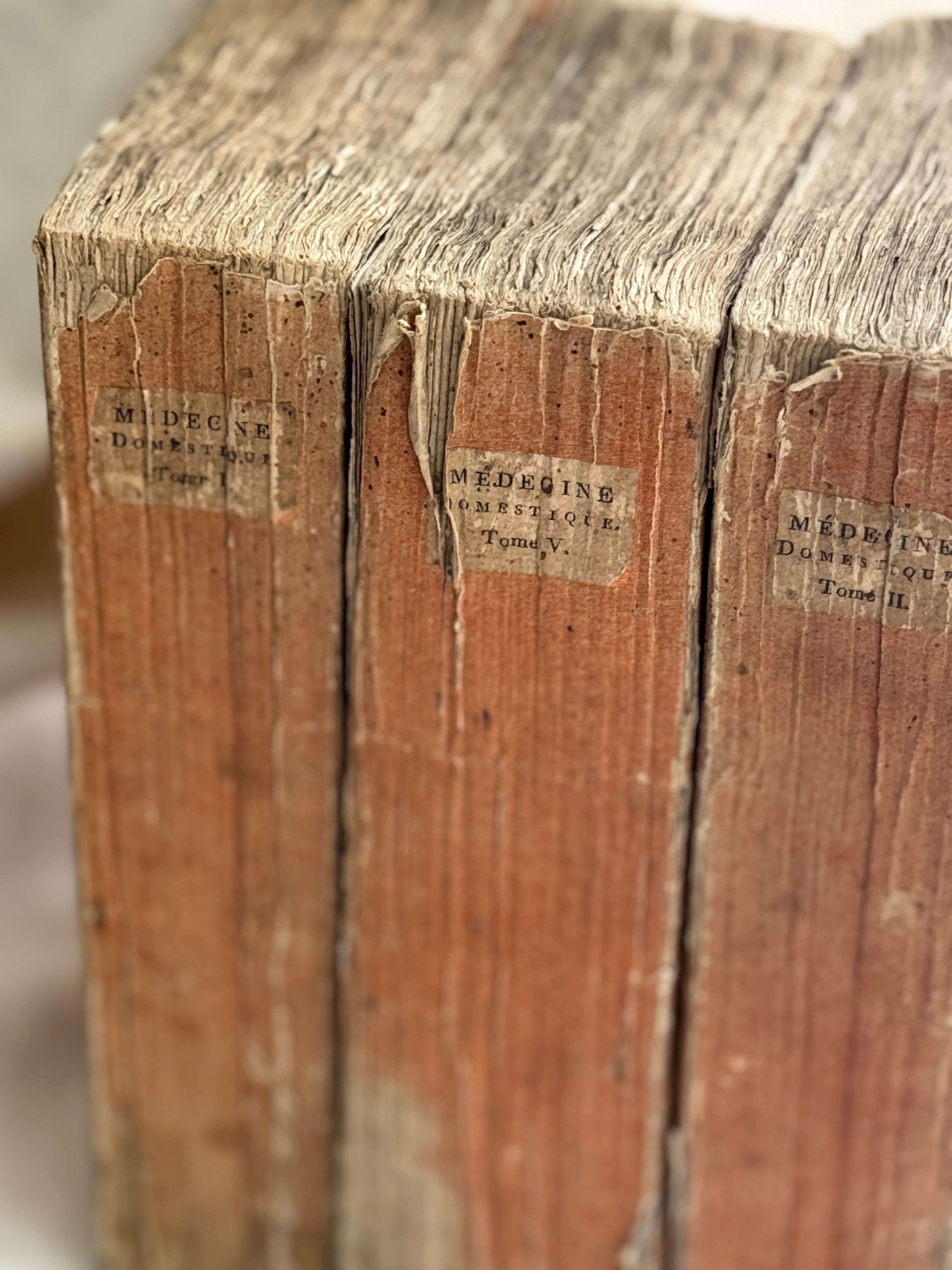 Antique French Medical Books, Médecine Domestique, 1802 (Set of Three)