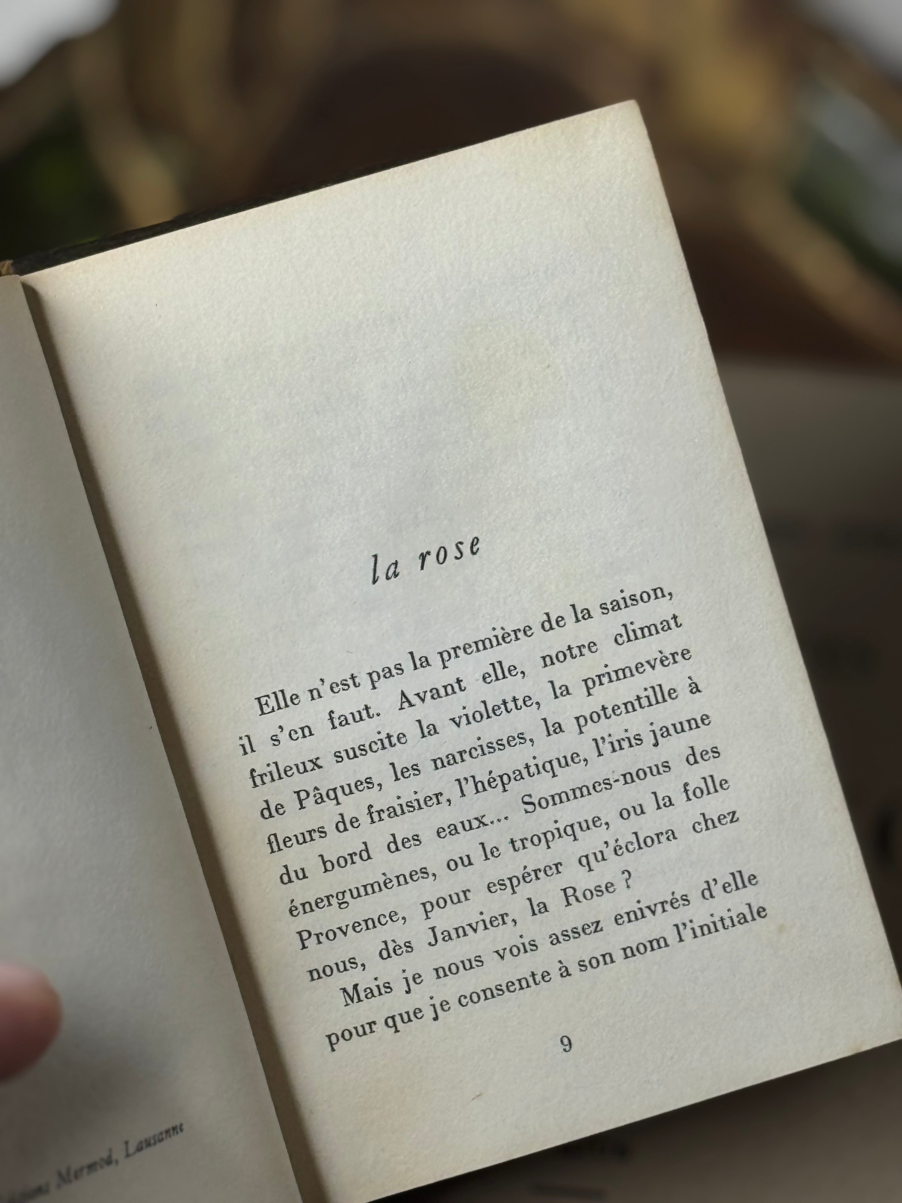 Vintage French Mini Book