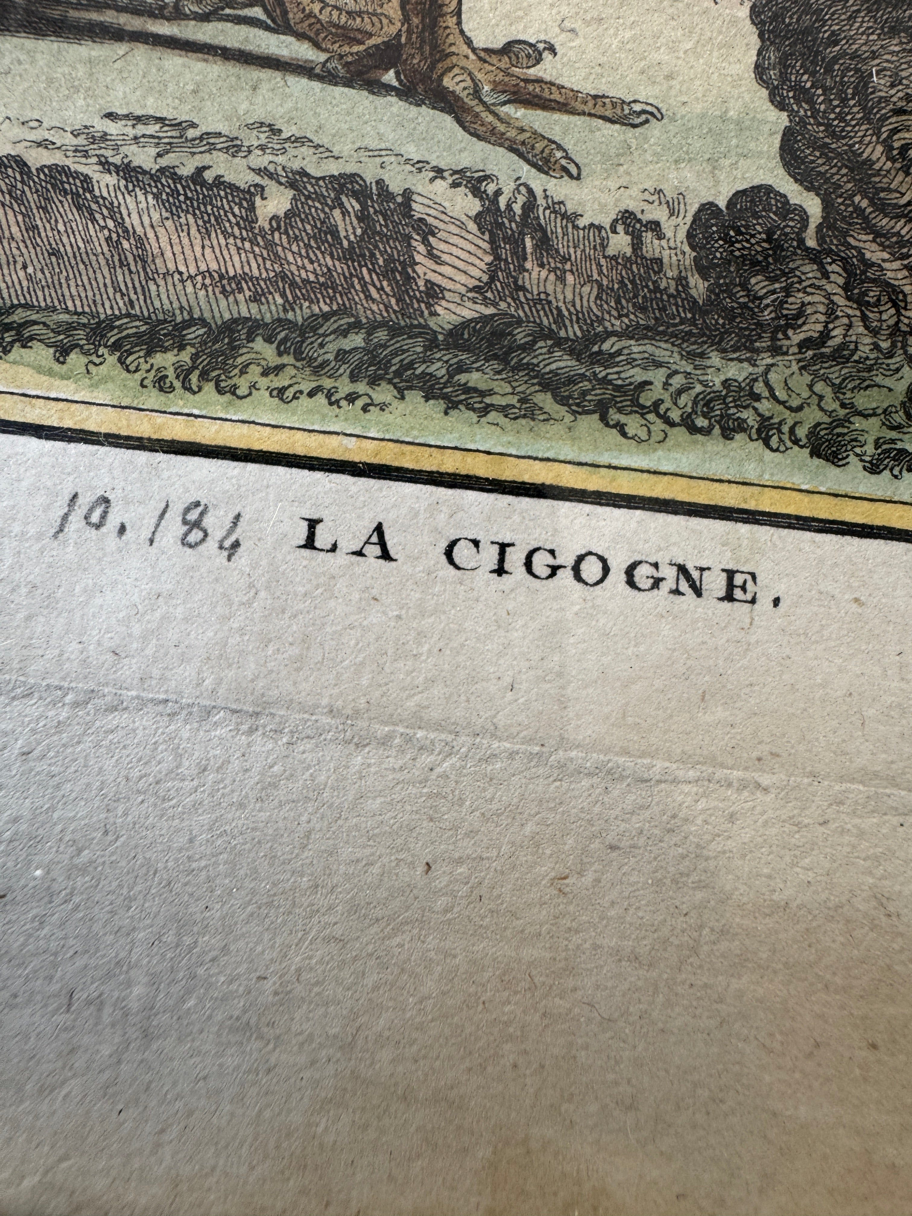 Antique French de Buffon Bird Engraving, La Cigogne, Hand Colored, 18th Century