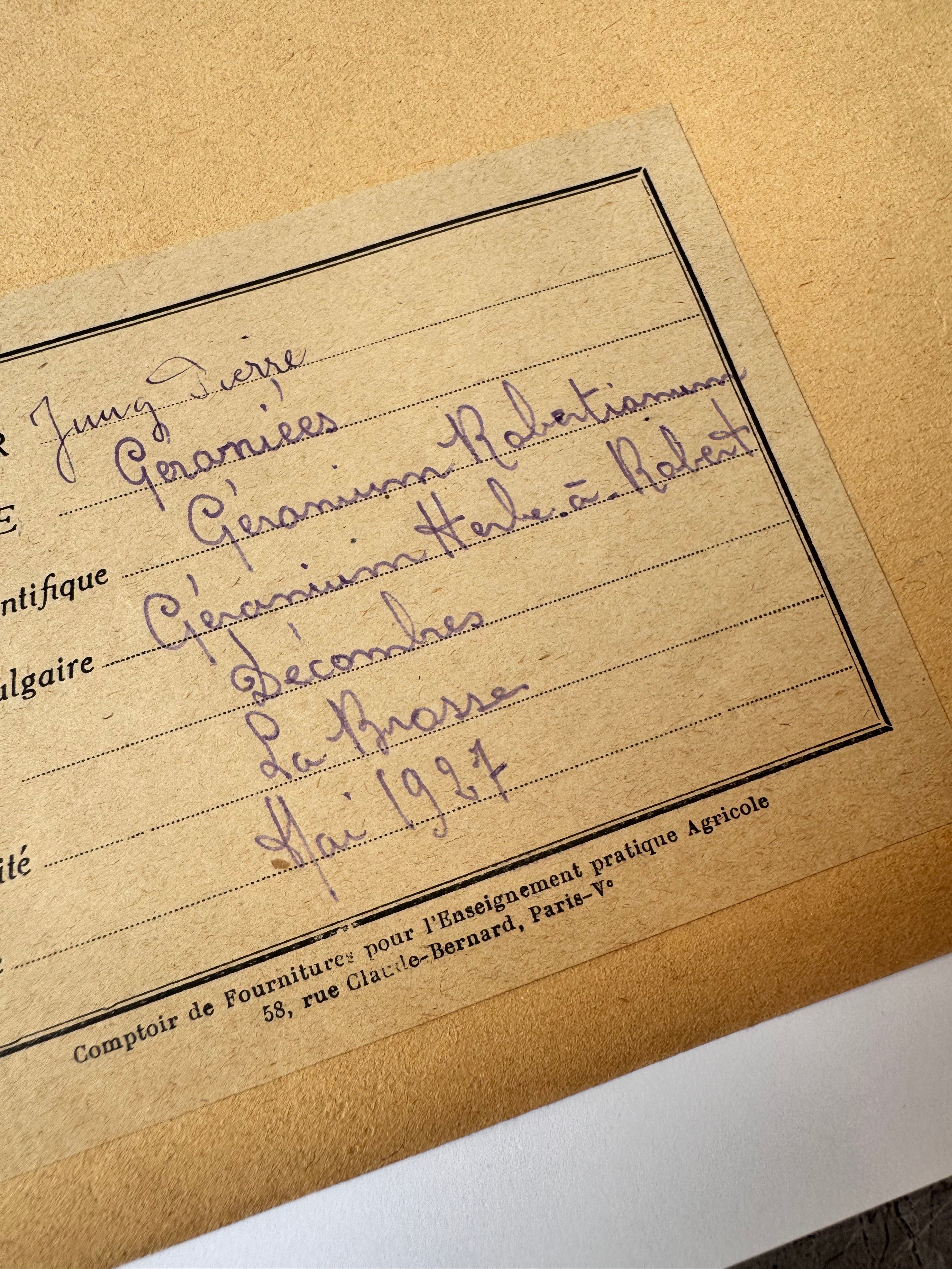 Herbarium Ge 2