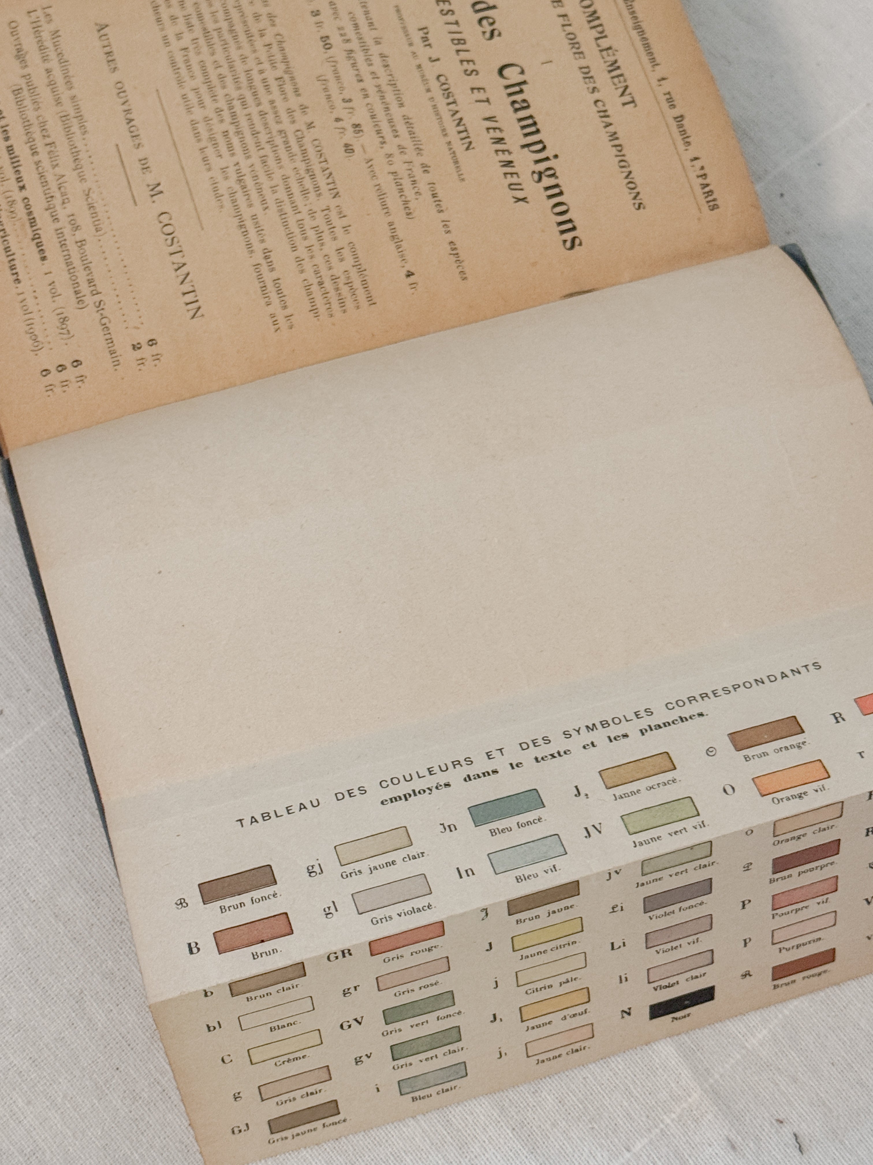 Antique French Mushroom Field Guide Nouvelle Flore des Champignons 1907