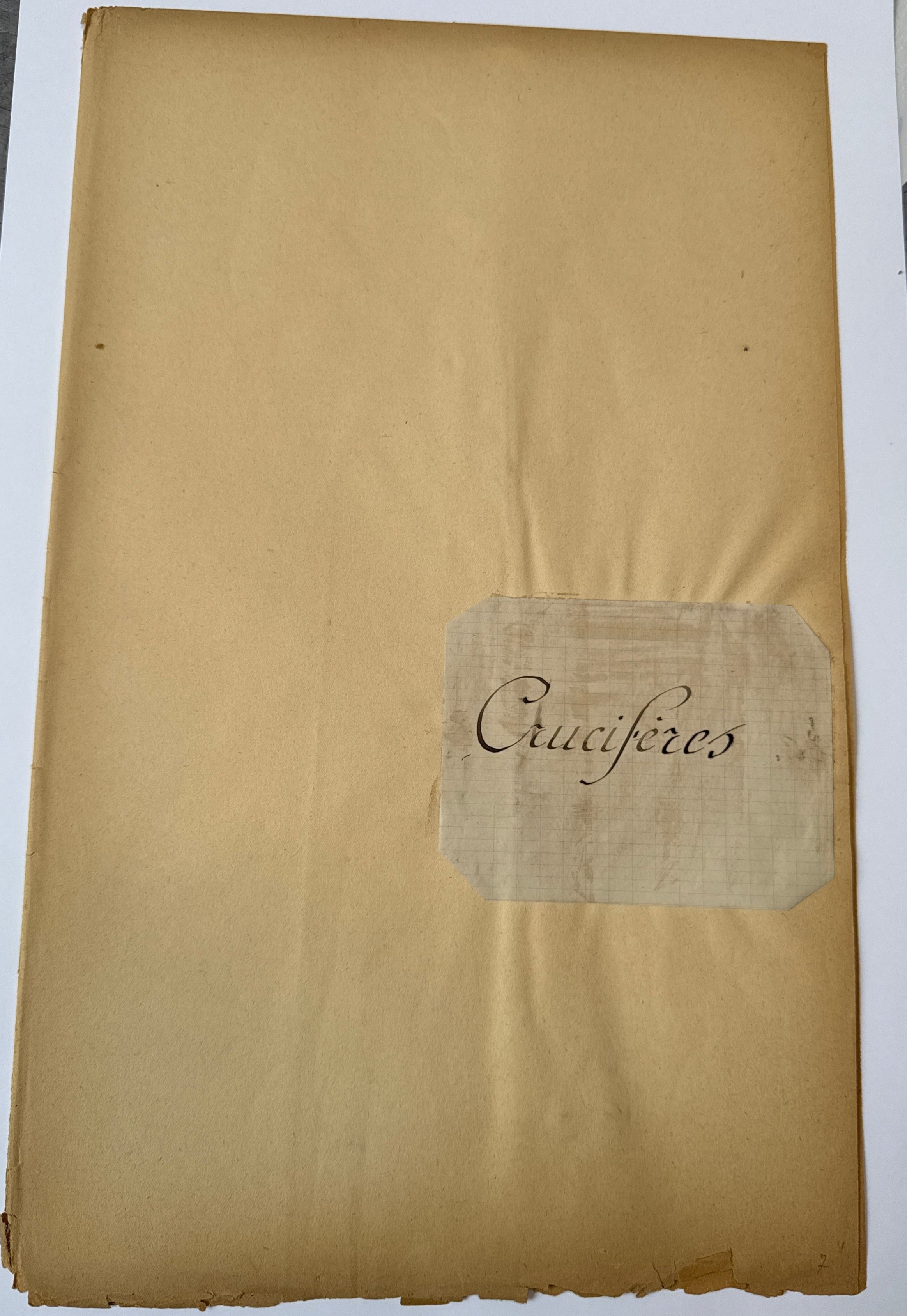 Herbarium Cr folder
