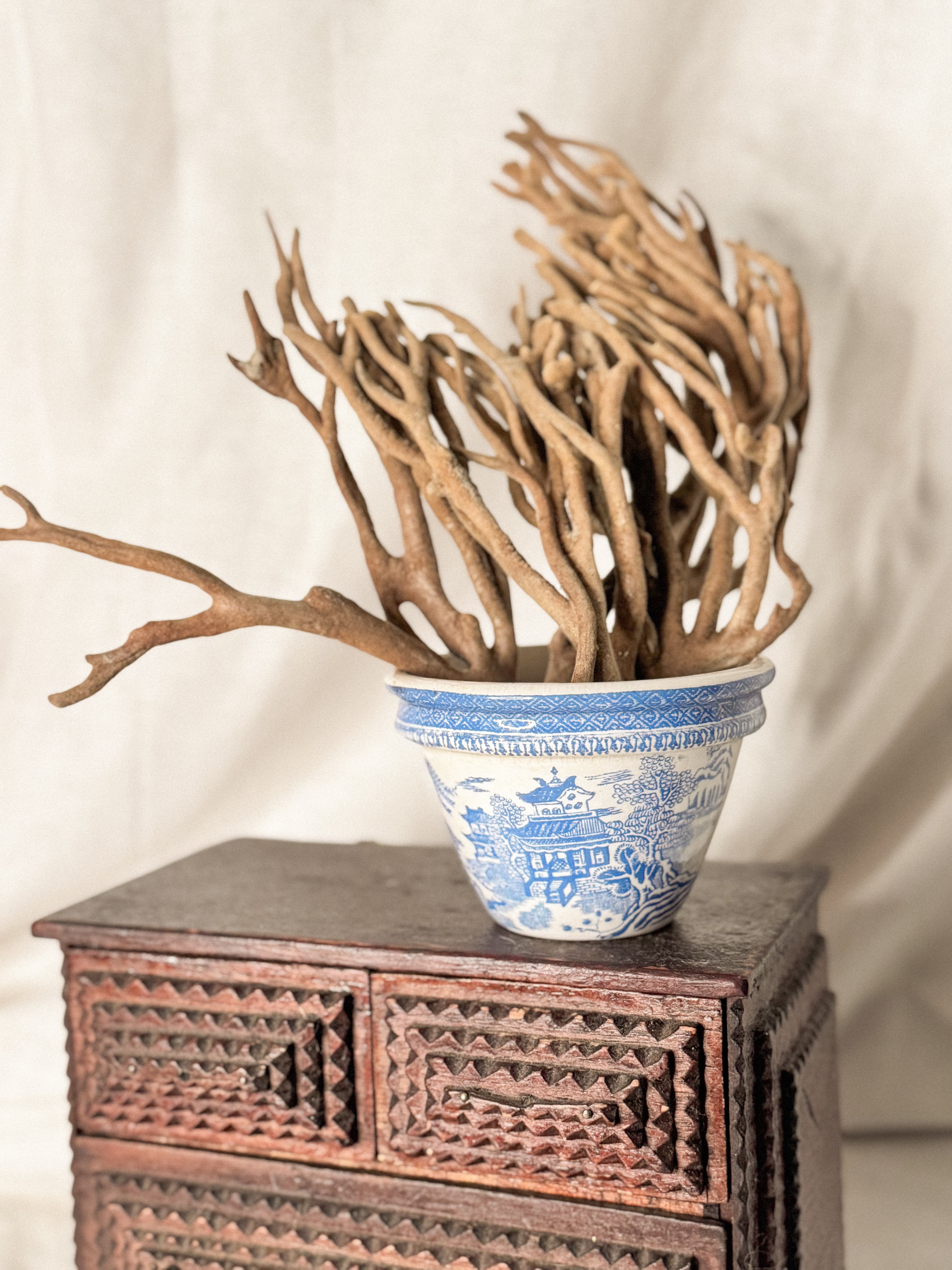 Vintage Dried Finger Sponge