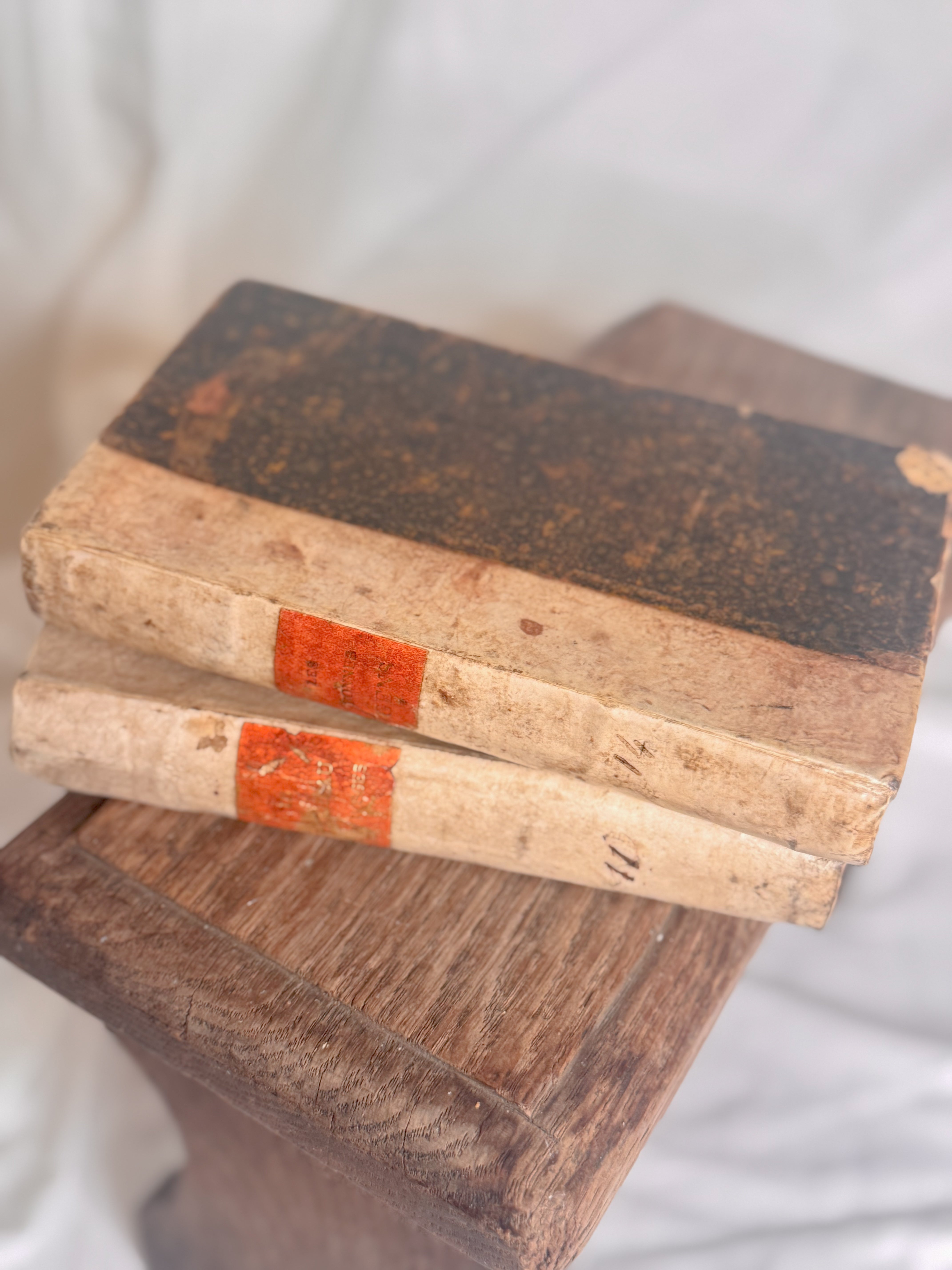 Set of Two 19th-Century French vellum Books from a Circulating Library