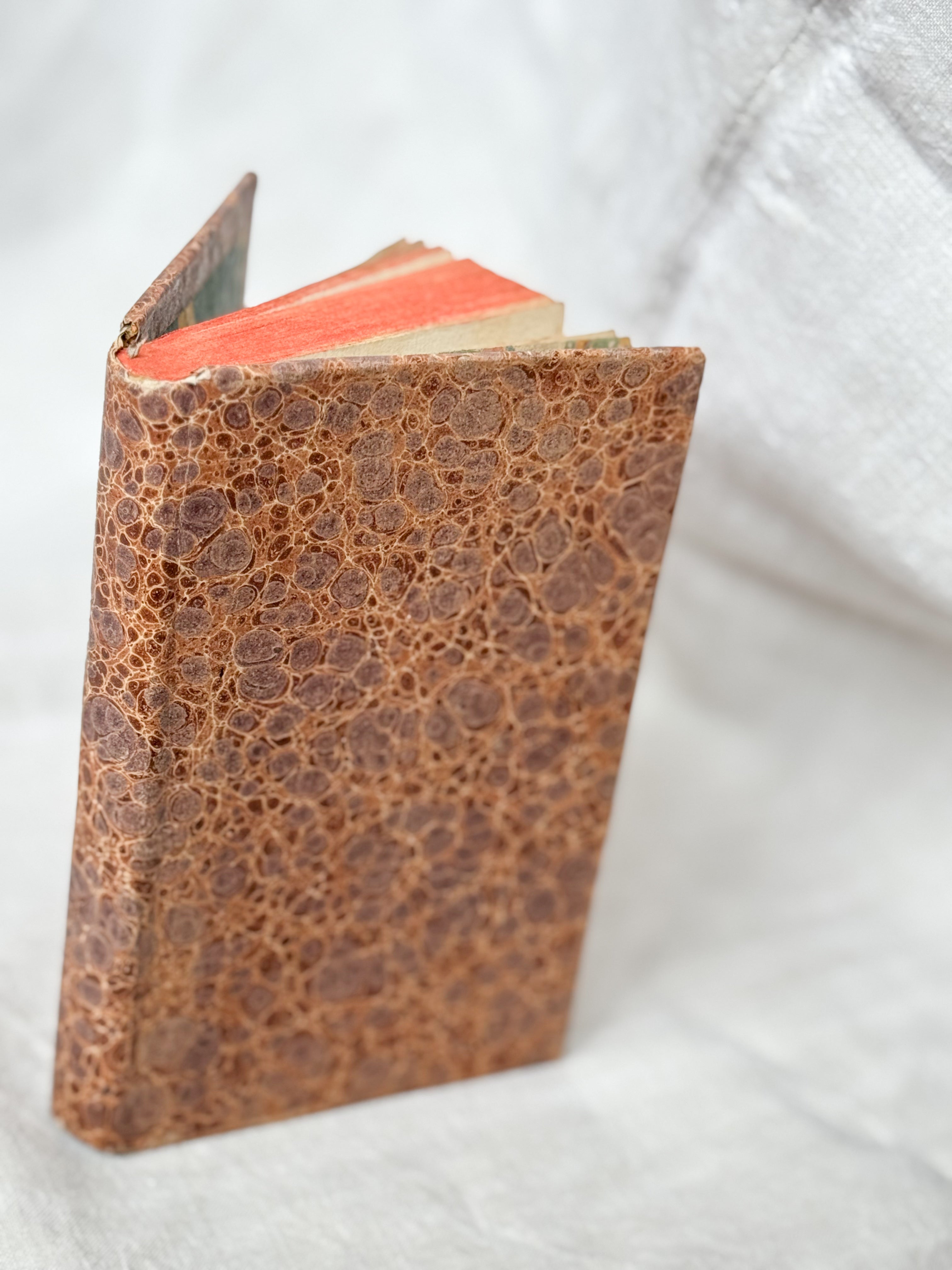 L’Homme des Champs, 1800