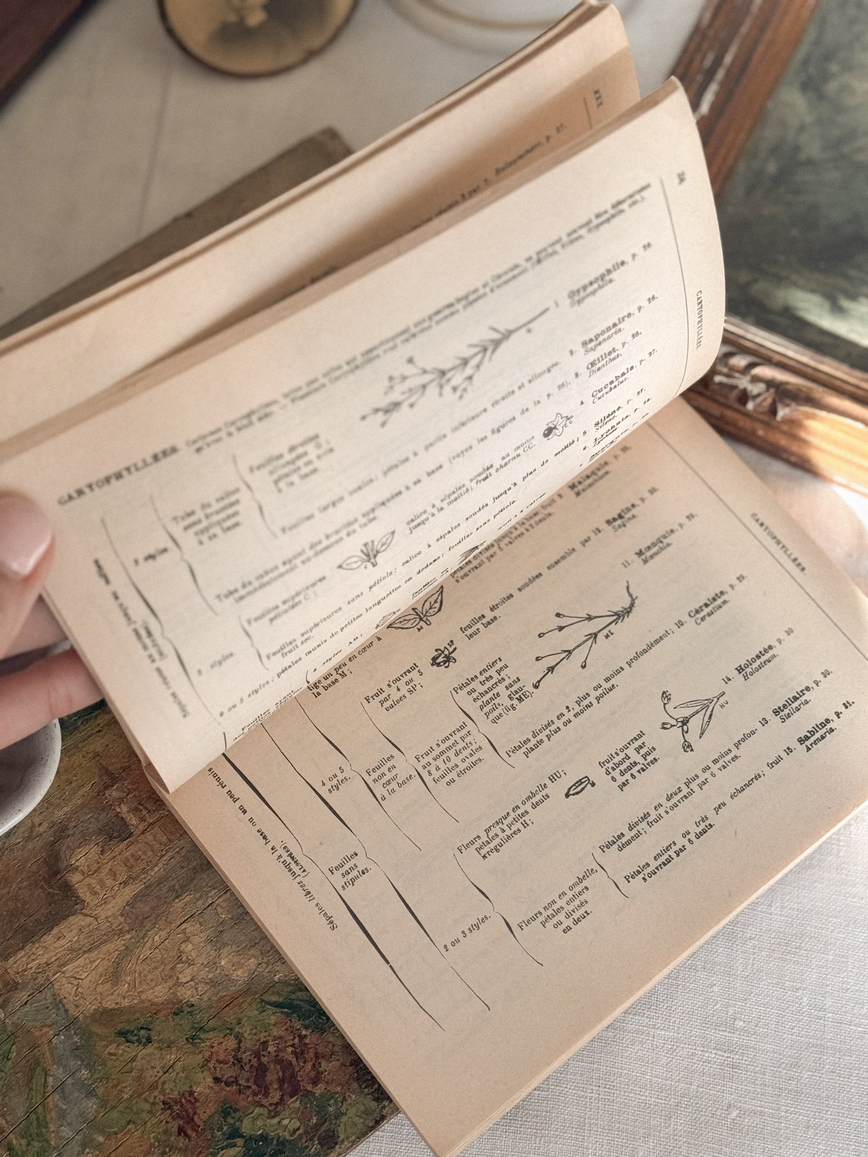 Vintage French botanical classic reference book