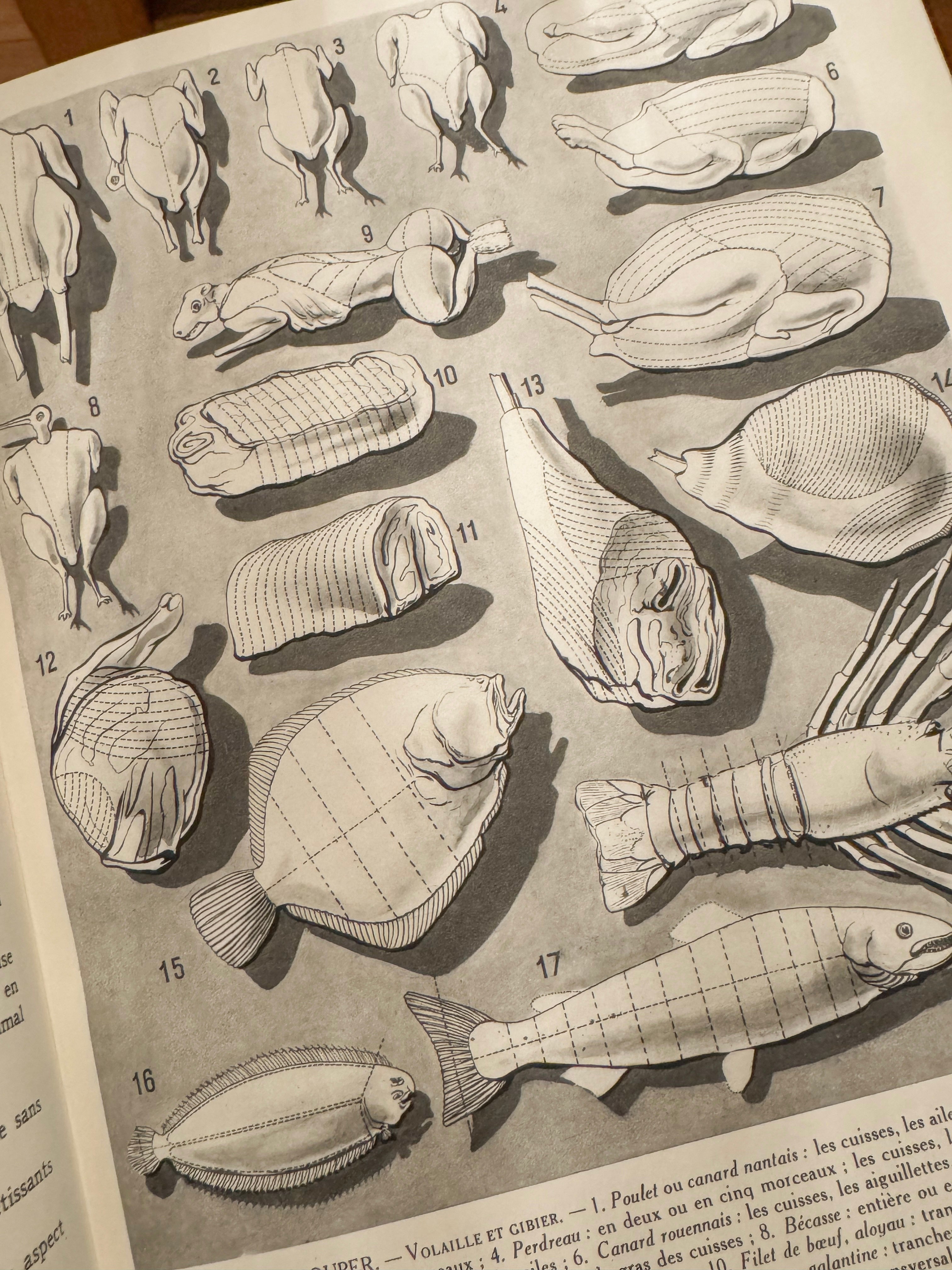 Cuisine et Vins de France — Vintage Cookbook - first edition