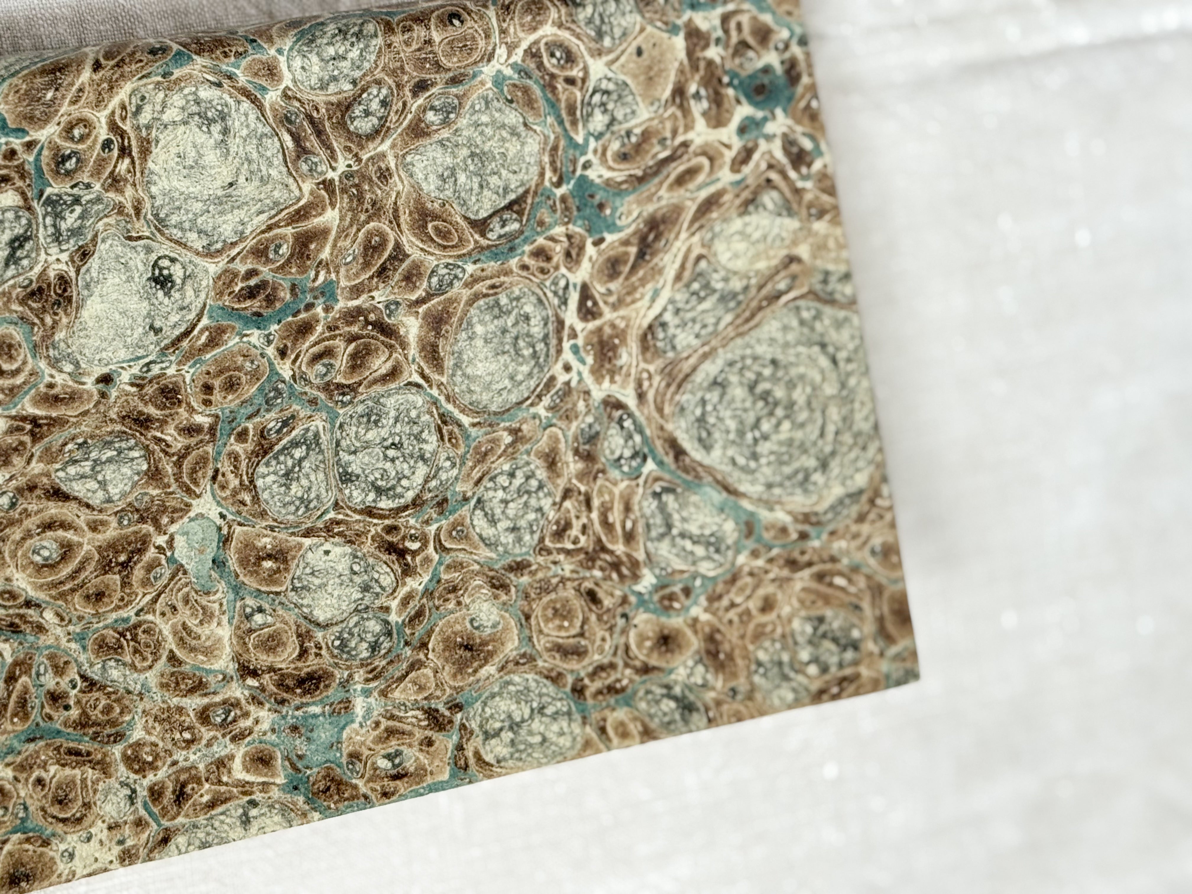 Les Phénomènes Terrestres, Paris 1870