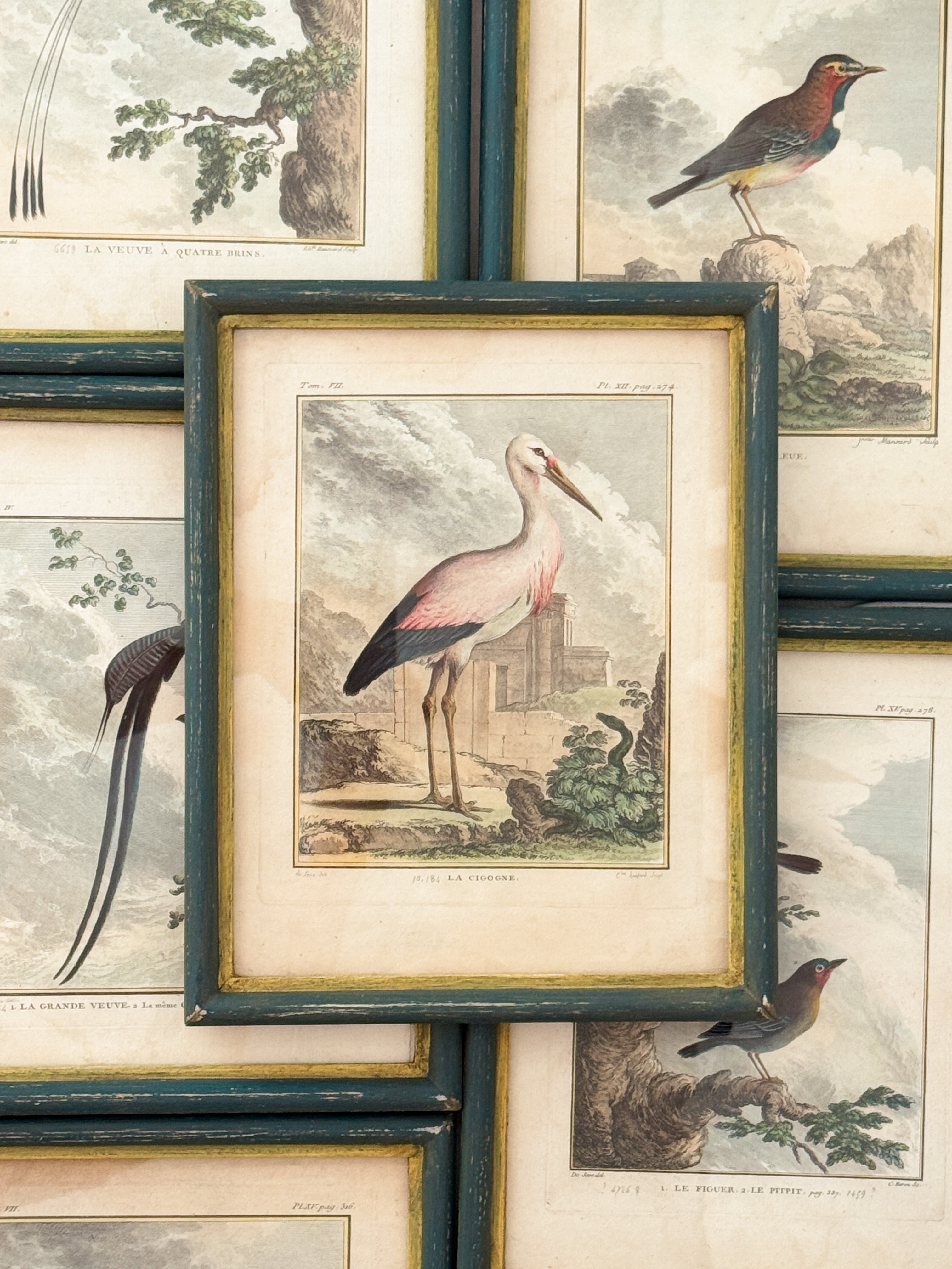 Antique French de Buffon Bird Engraving, La Cigogne, Hand Colored, 18th Century