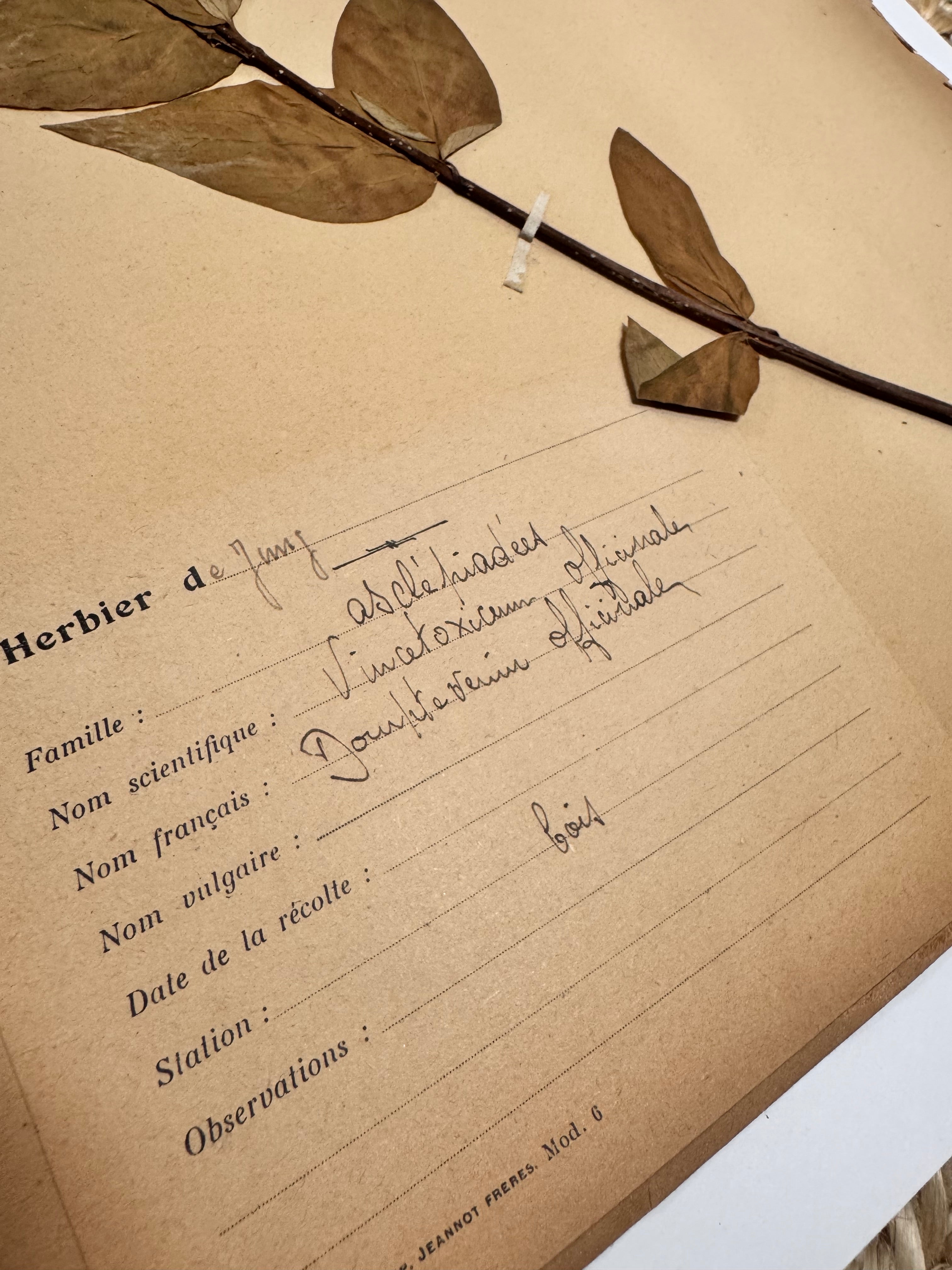 Herbarium Asc 1