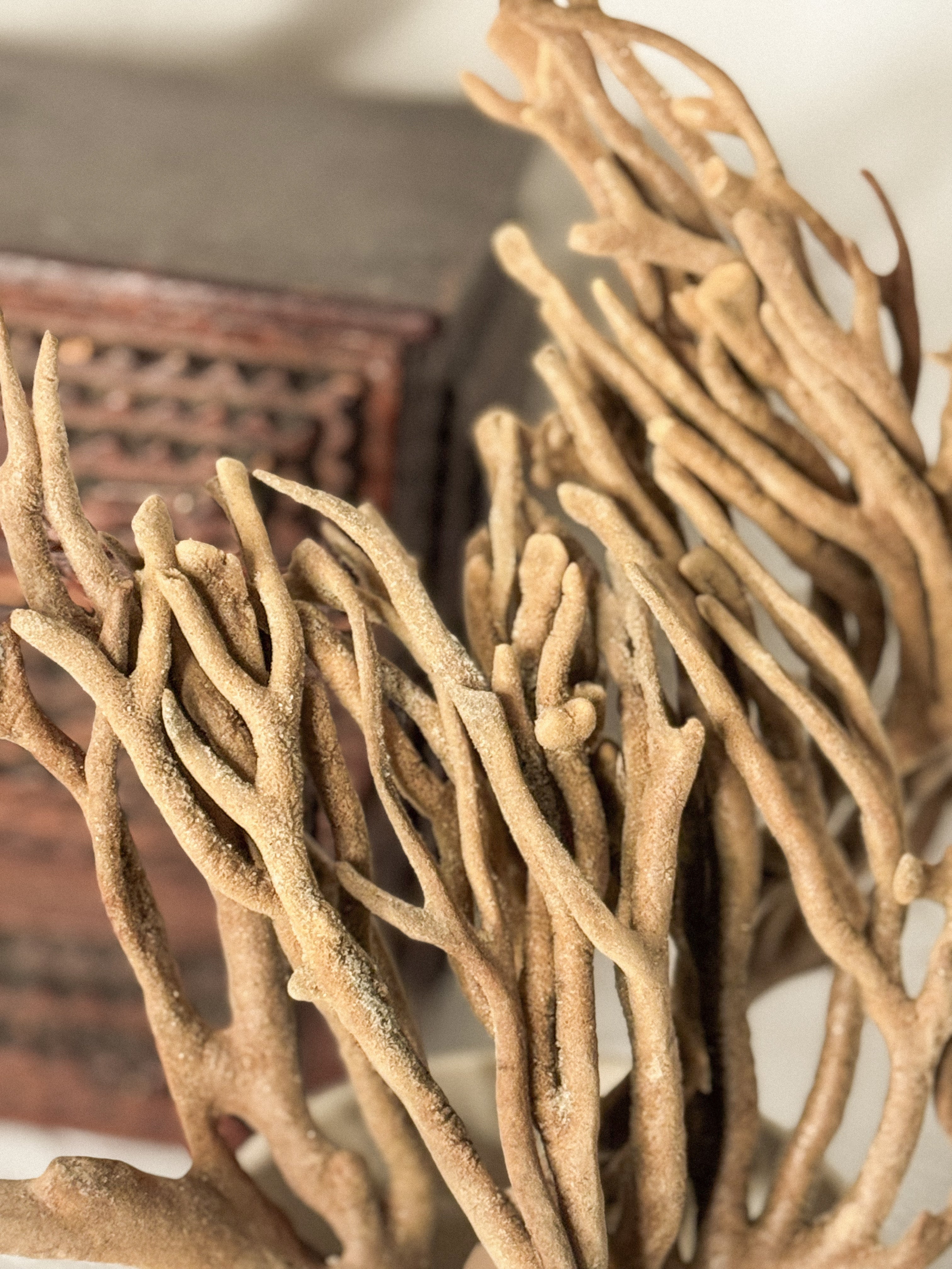 Vintage Dried Finger Sponge