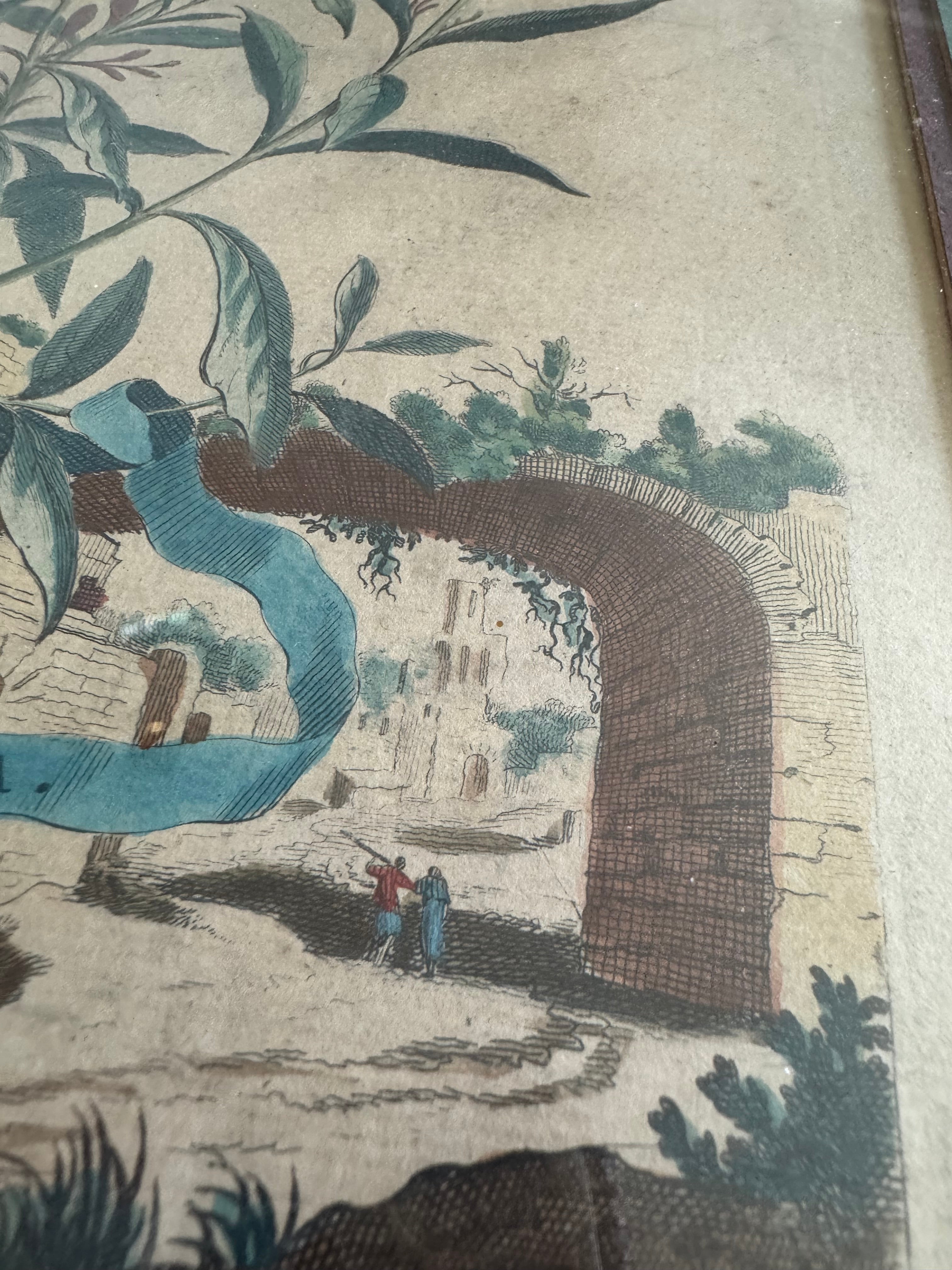 Antique 18th-Century Hand-Colored Botanical Engraving