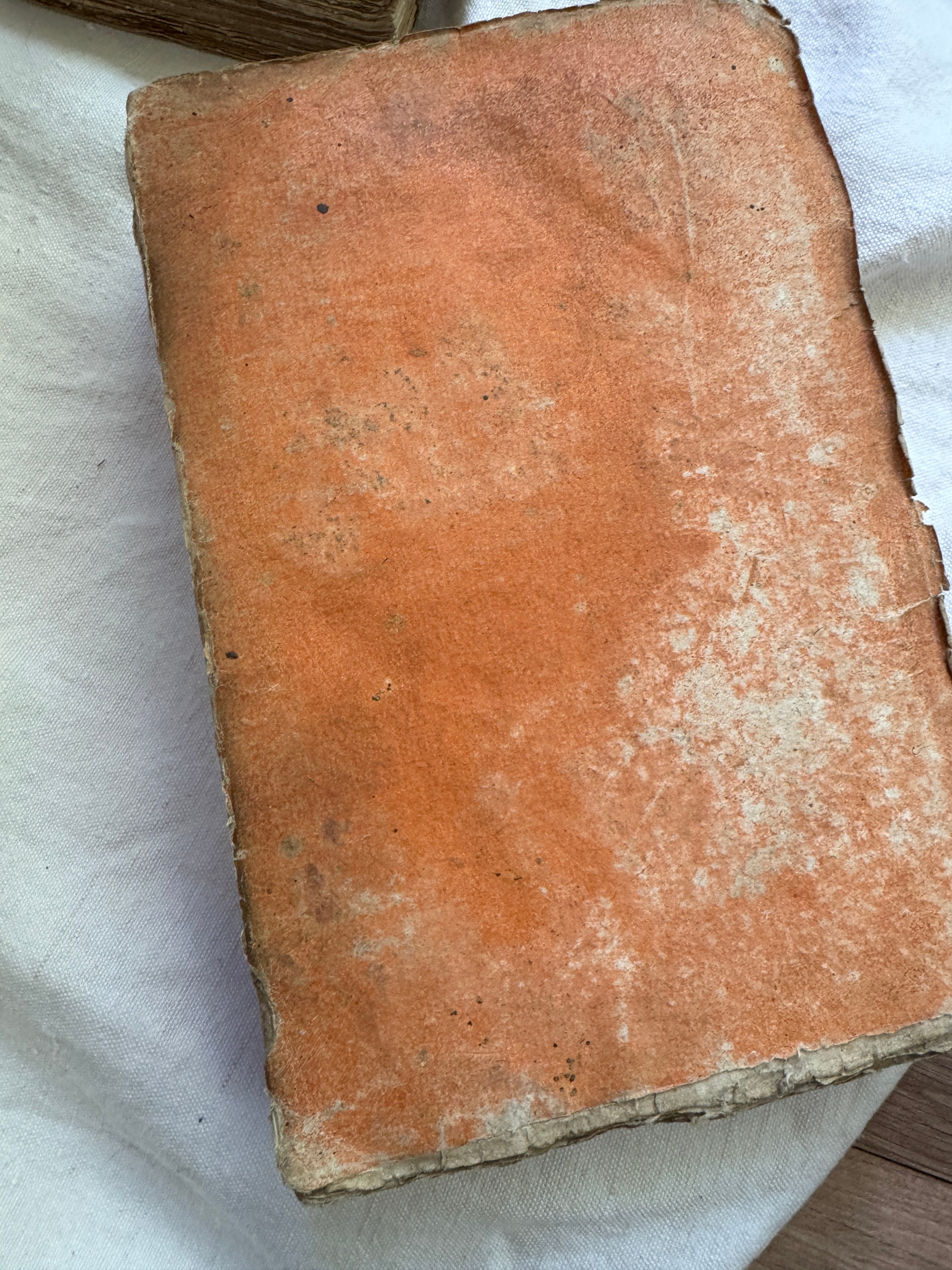 Antique French Medical Books, Médecine Domestique, 1802 (Set of Three)