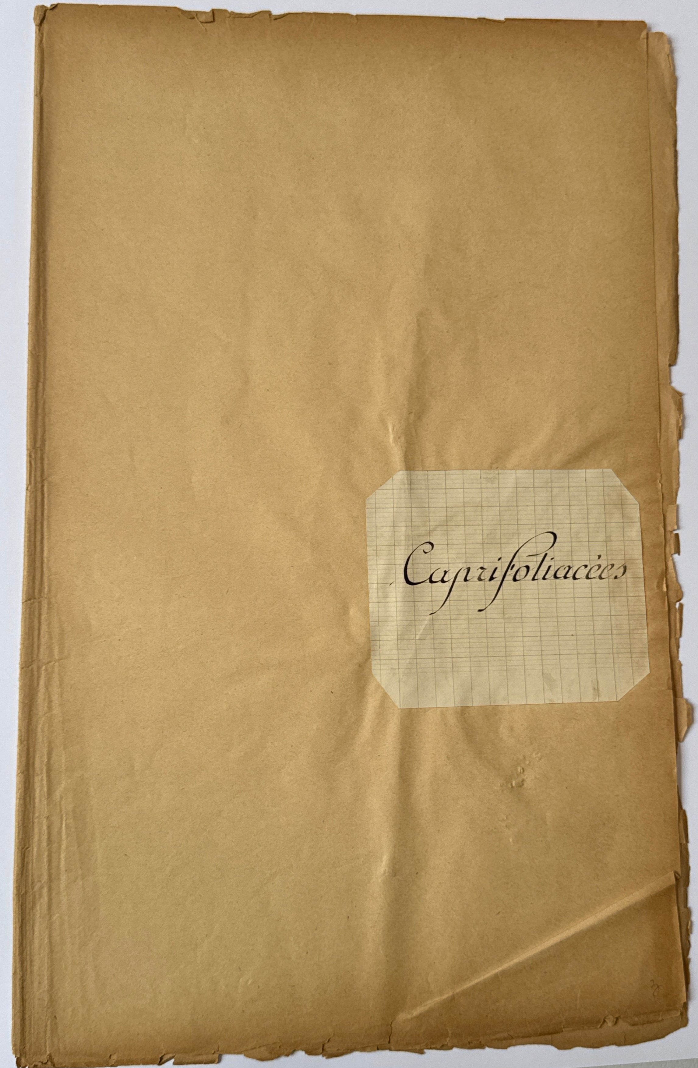 Herbarium Ca folder