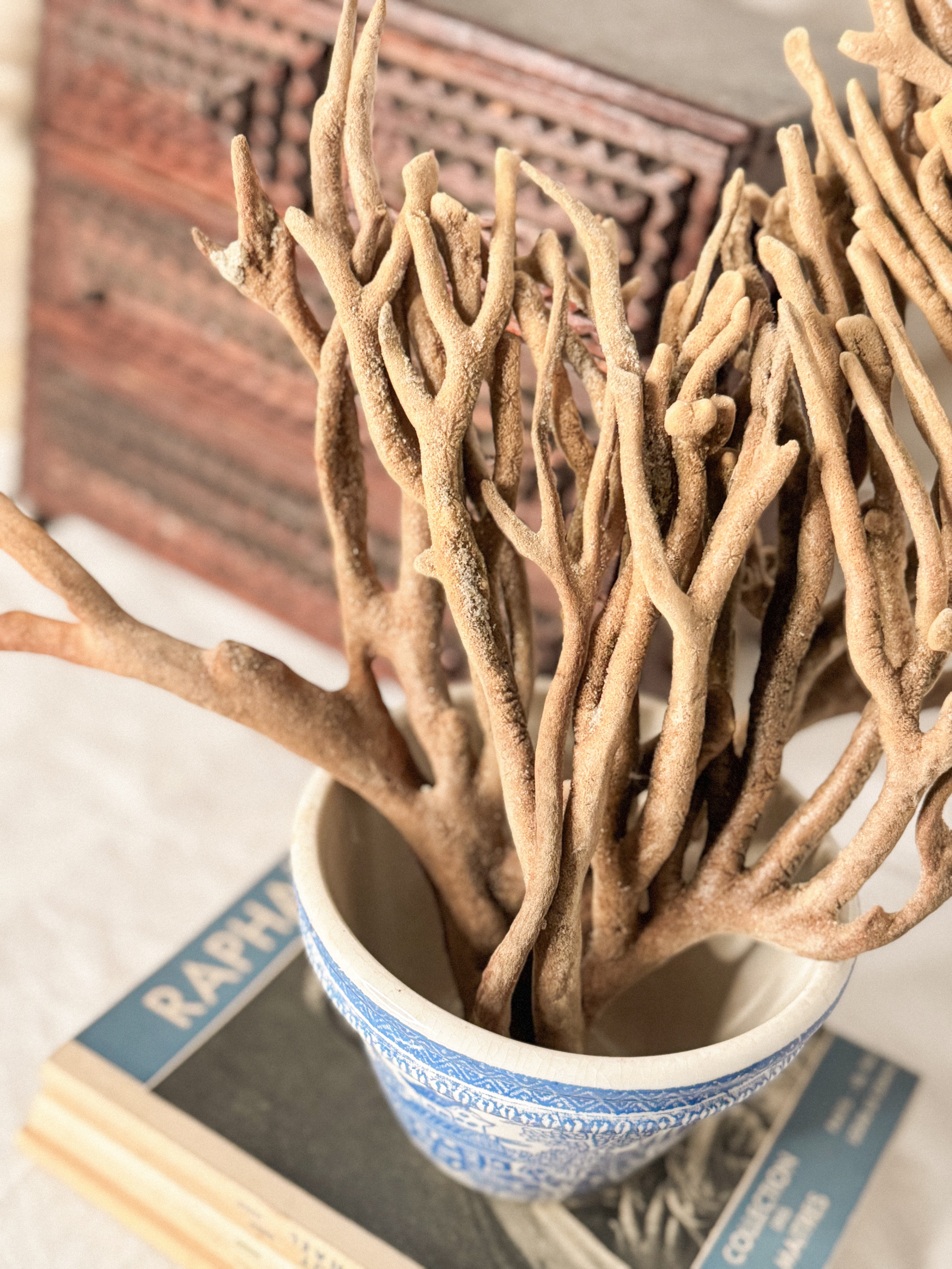 Vintage Dried Finger Sponge