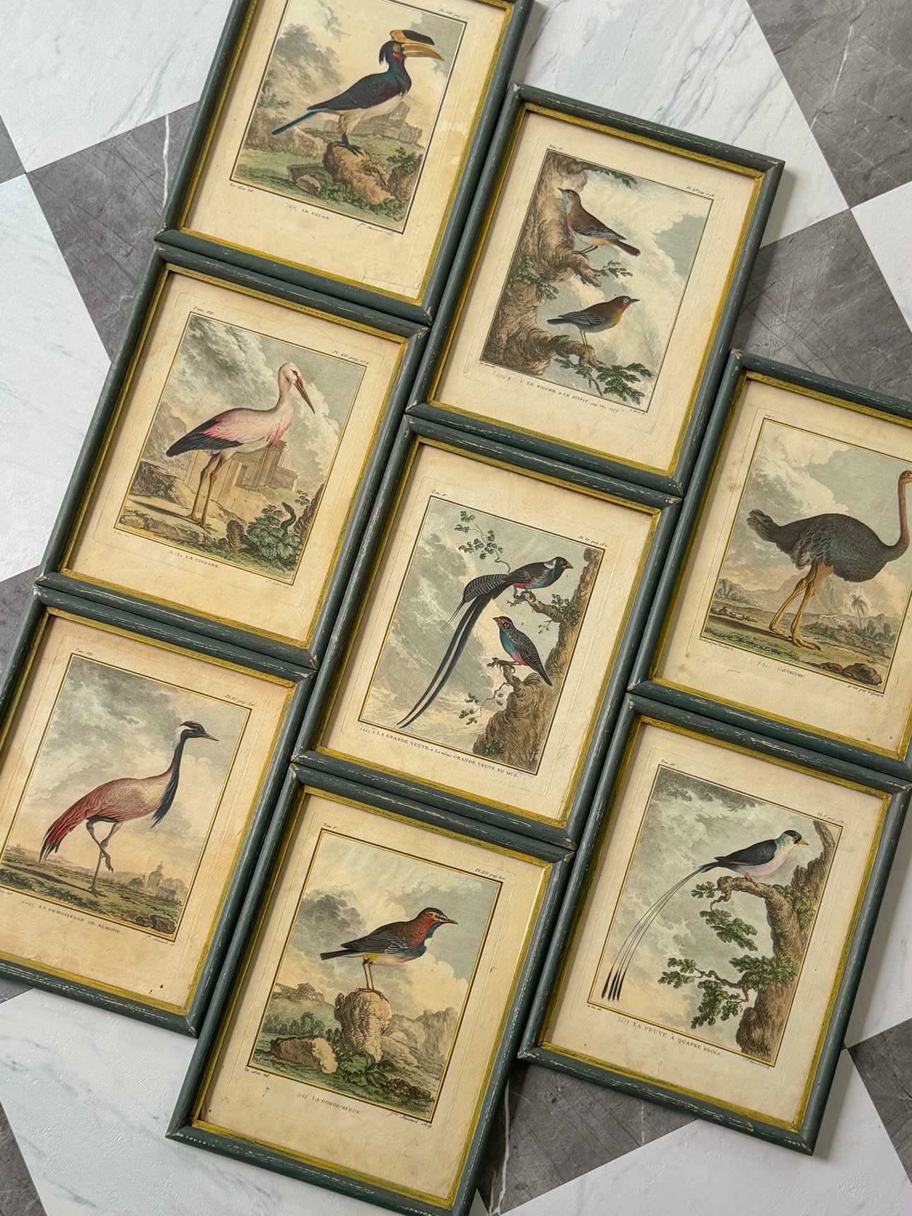Antique French de Buffon Bird Engraving, La Cigogne, Hand Colored, 18th Century