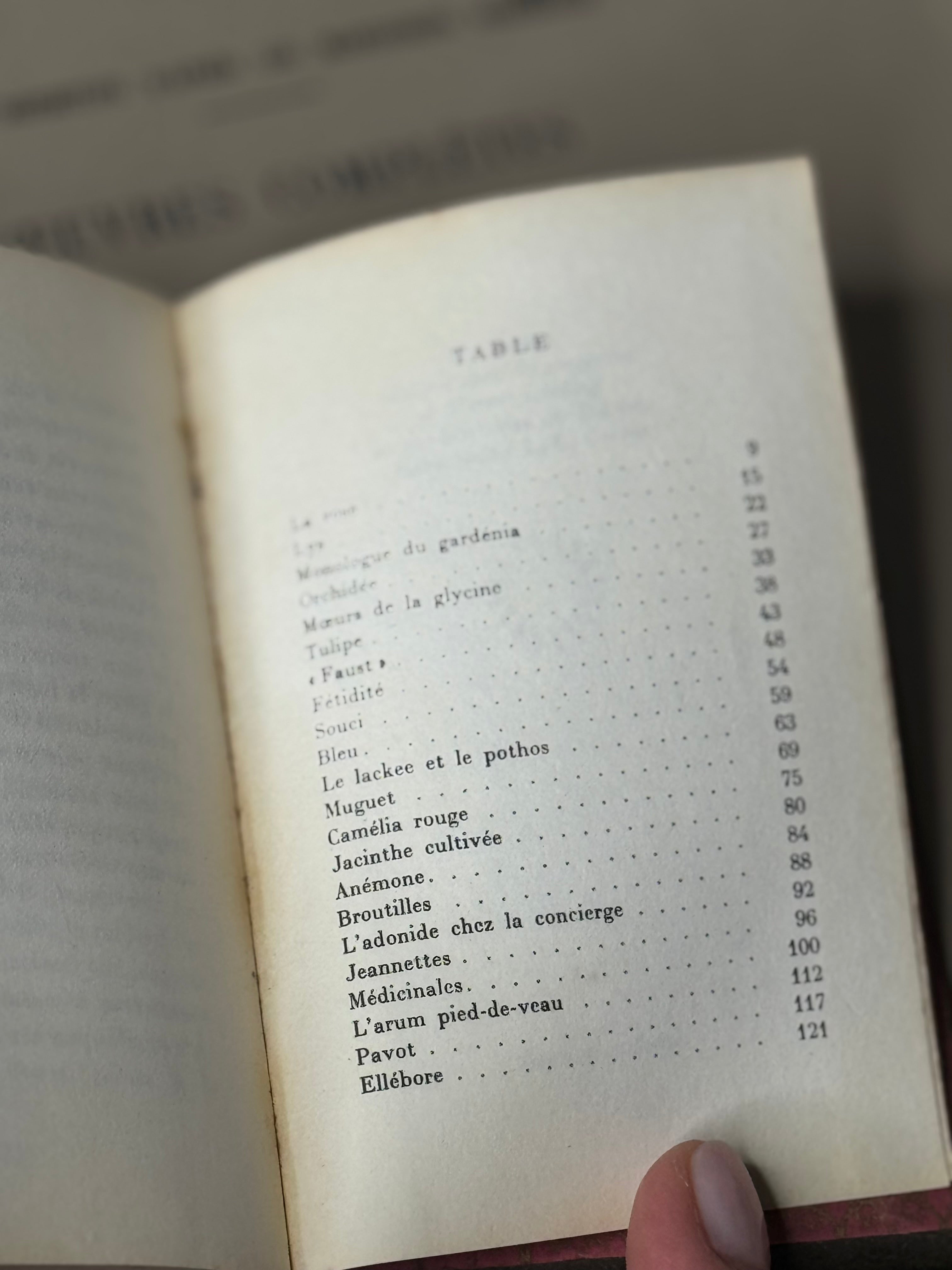 Vintage French Mini Book