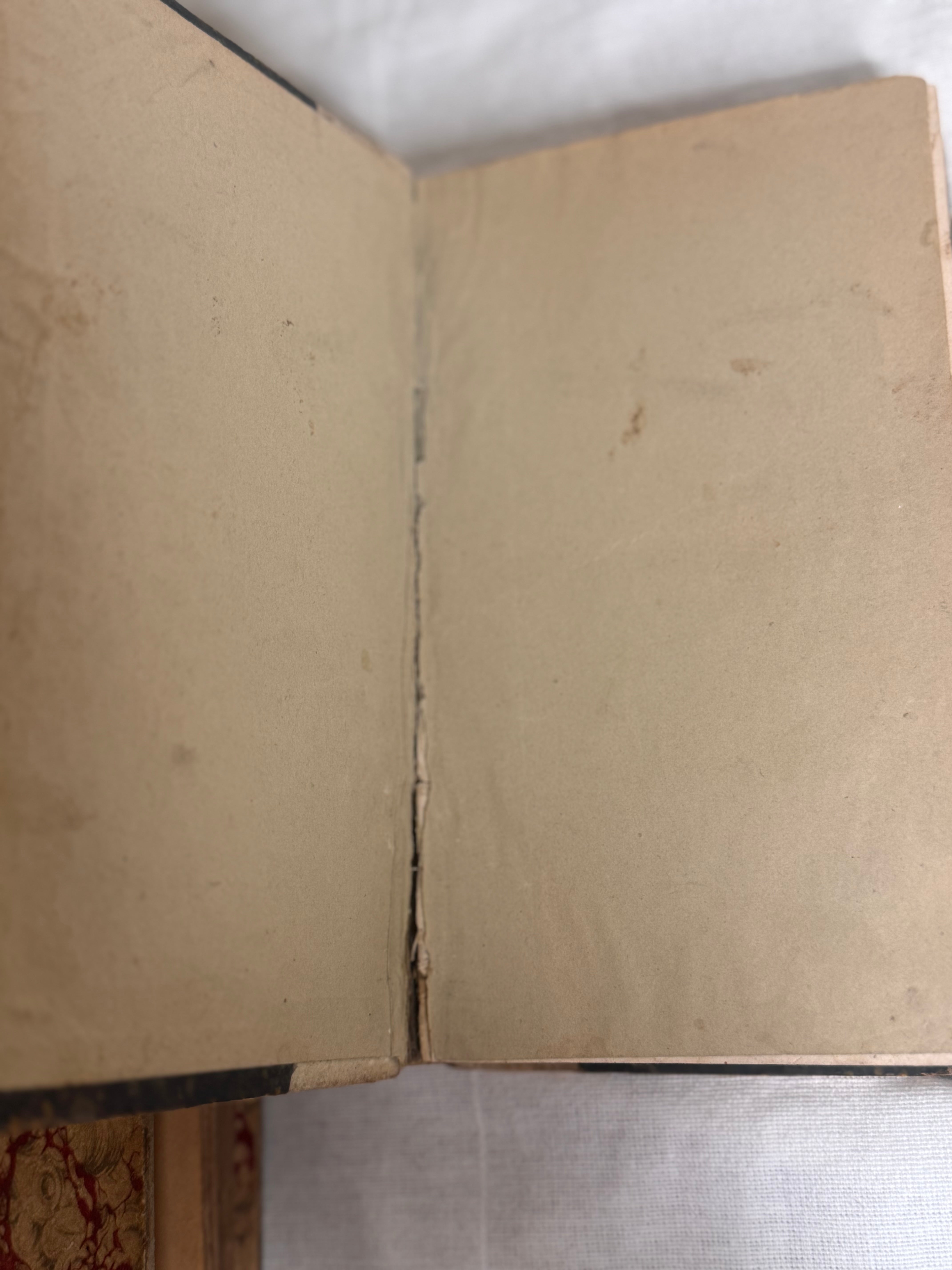 Set of Two 19th-Century French vellum Books from a Circulating Library