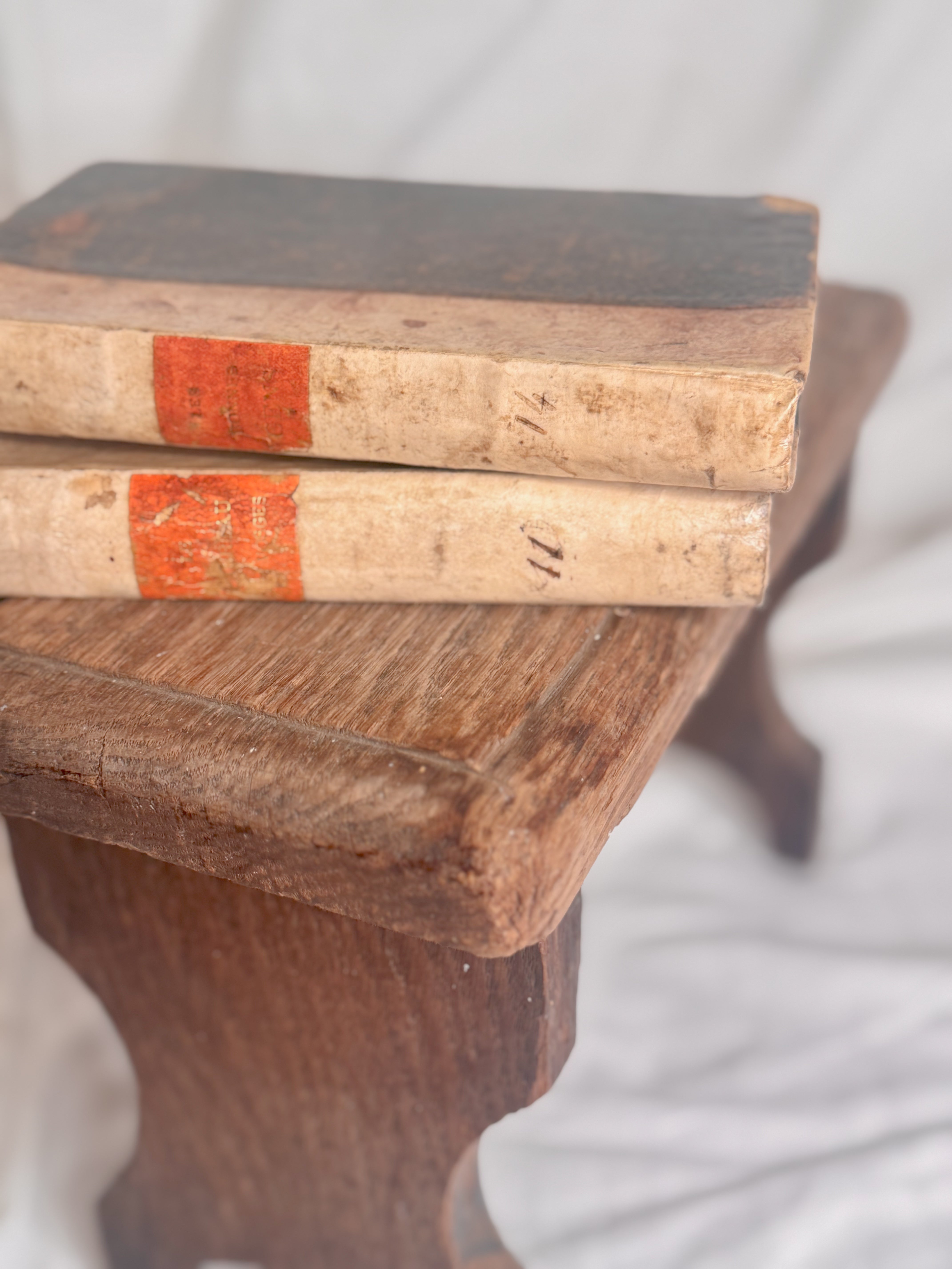 Set of Two 19th-Century French vellum Books from a Circulating Library