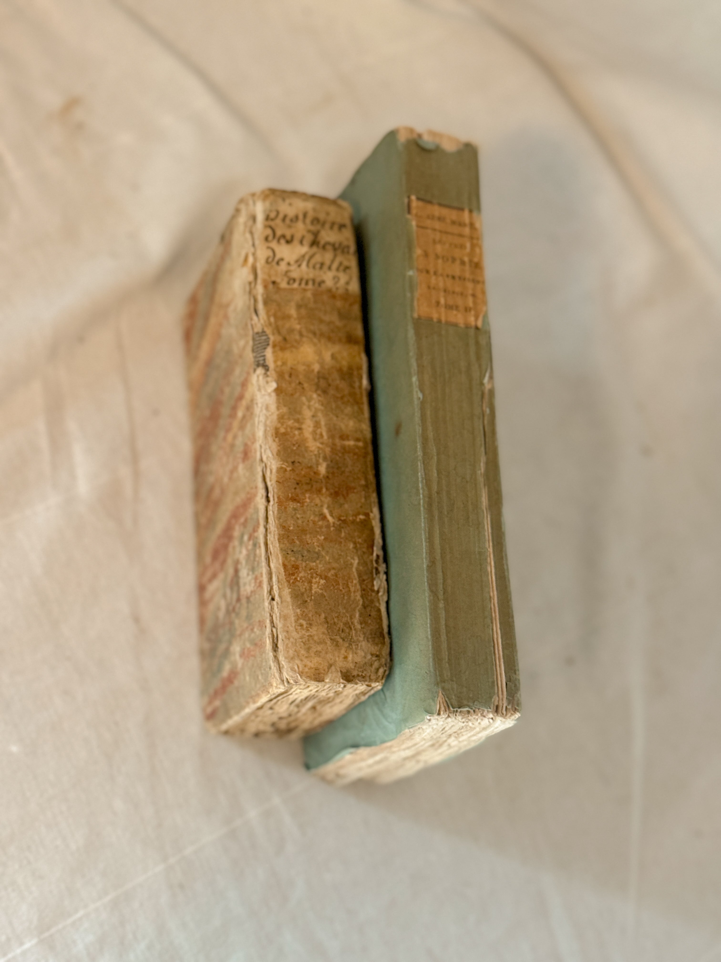 Antique French Natural History Book with Hand-Colored Plates, Lettres à Sophie, Paris 1822
