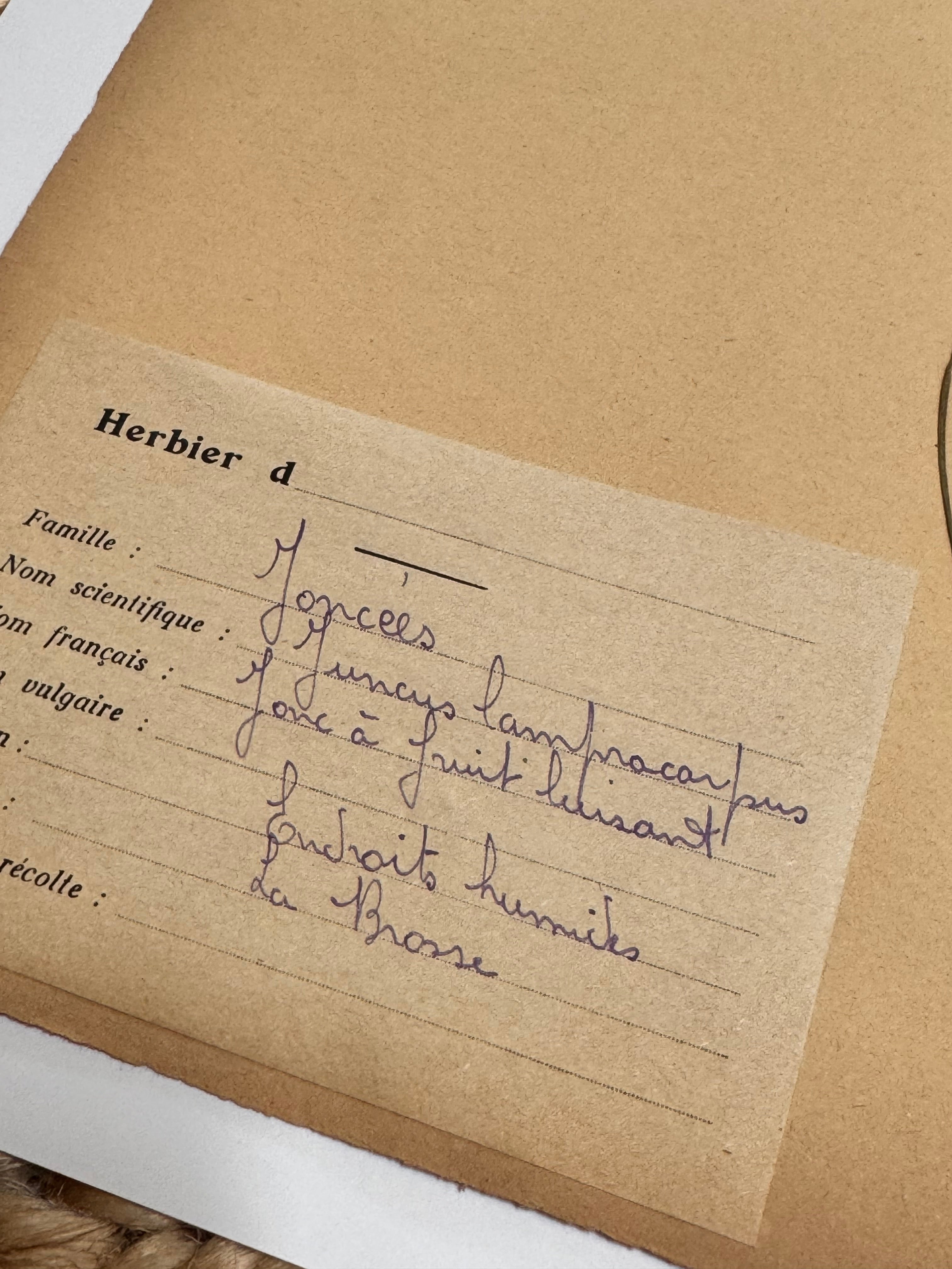 Herbarium jo 1