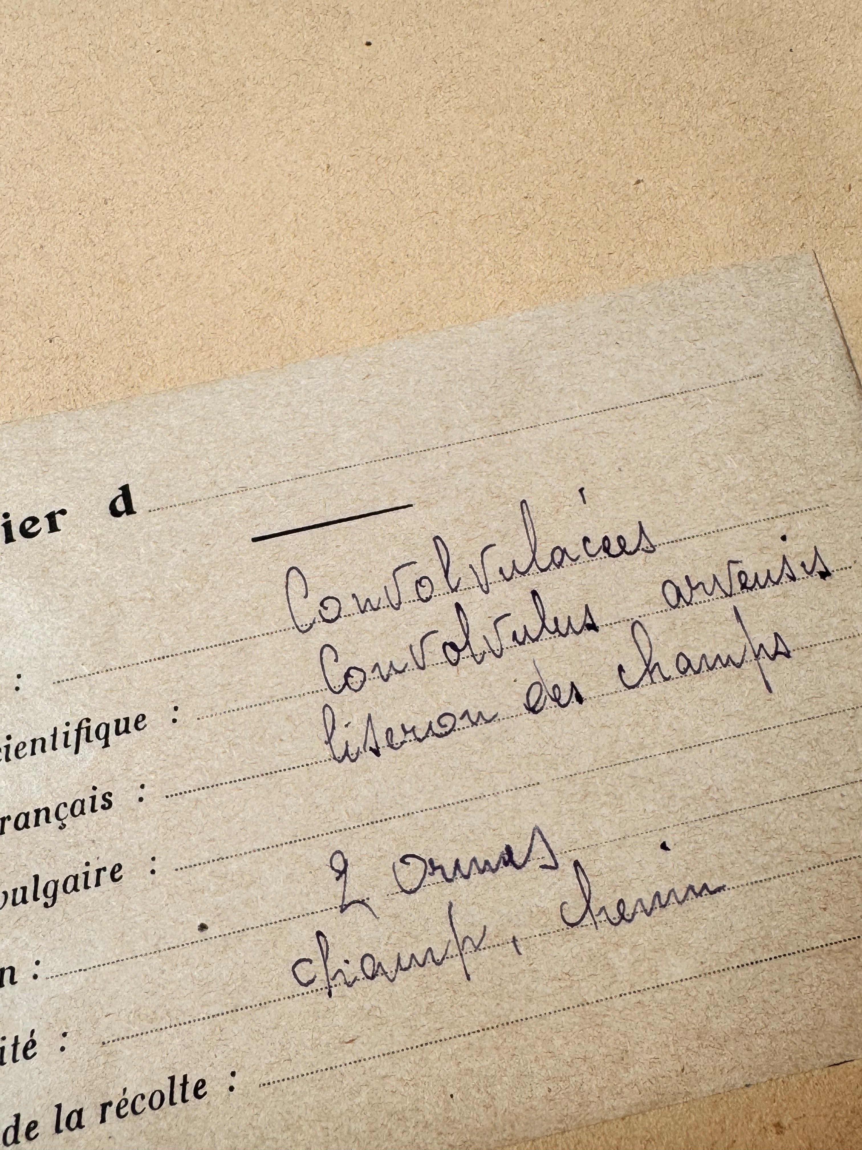 Herbarium Co