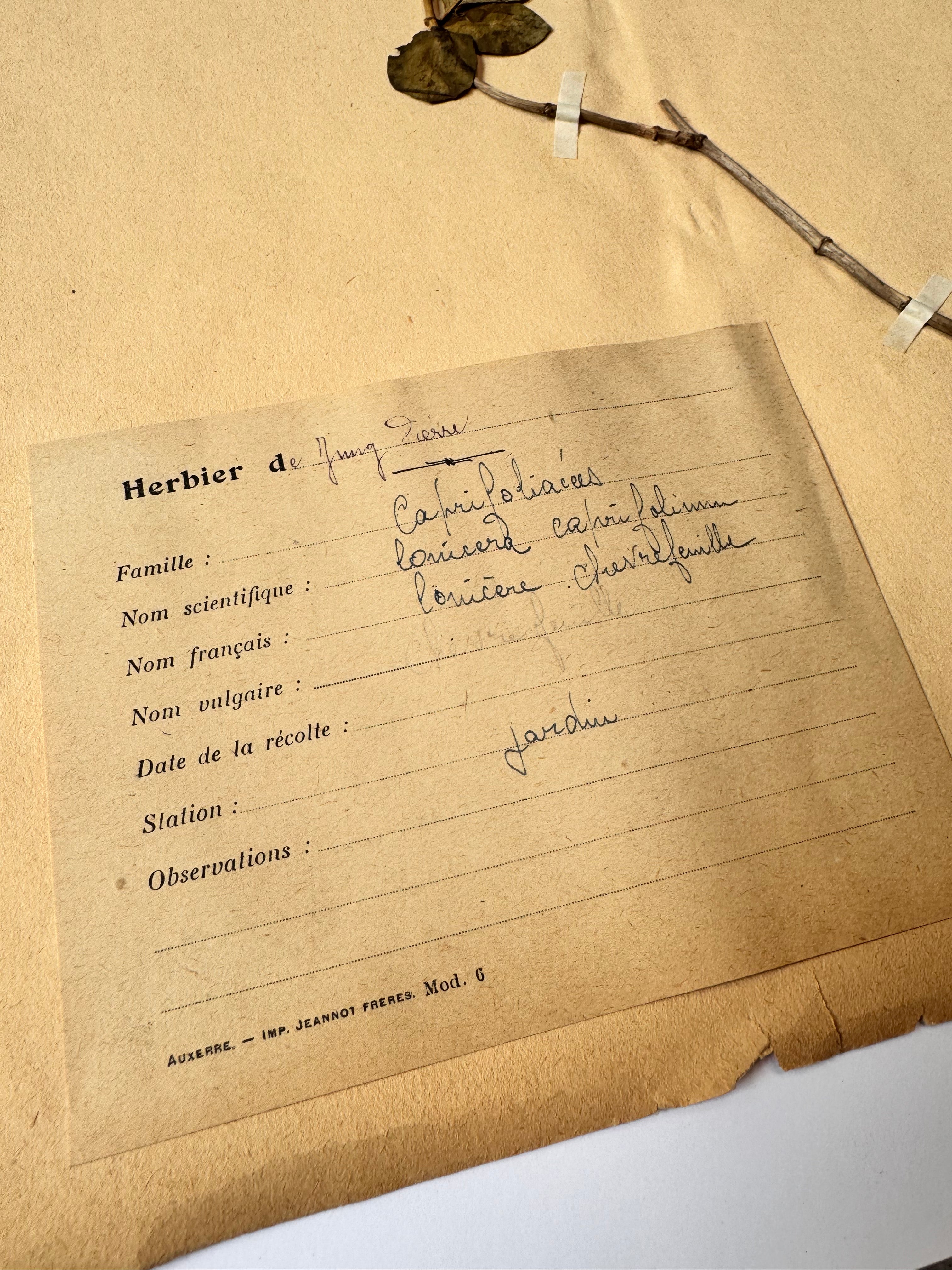 Herbarium Ca 1
