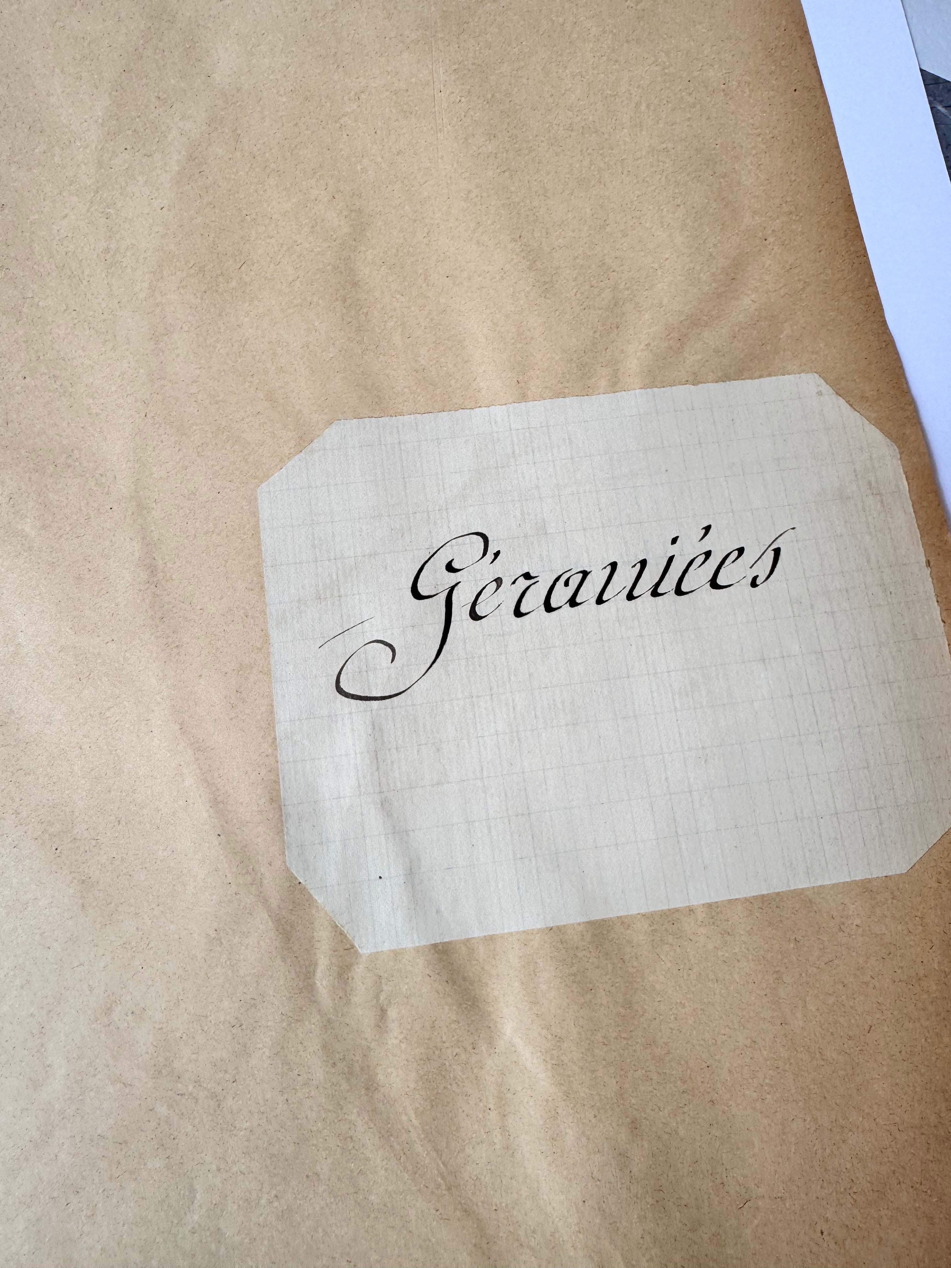 Herbarium Ge folder