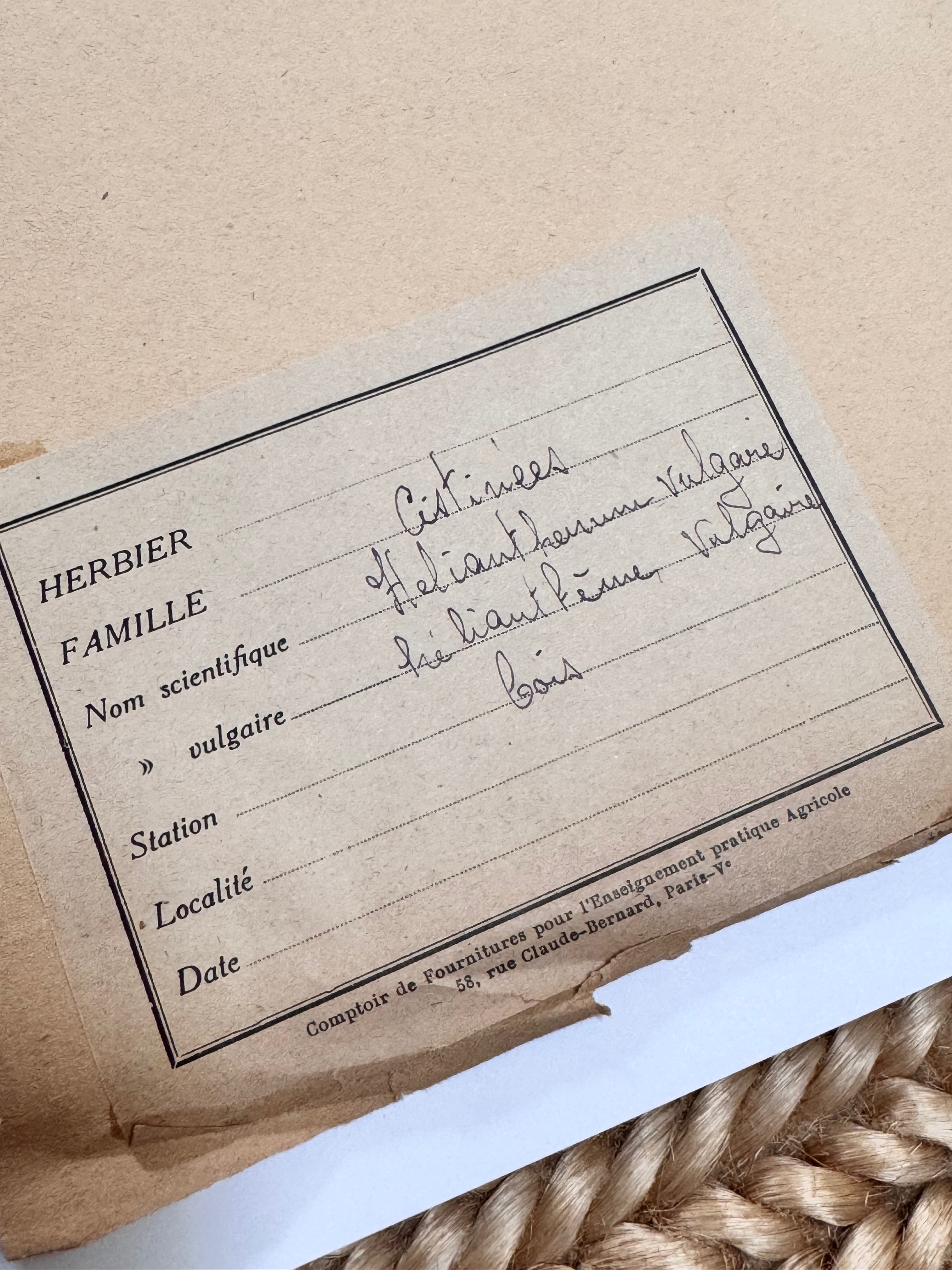 Herbarium Ci 1