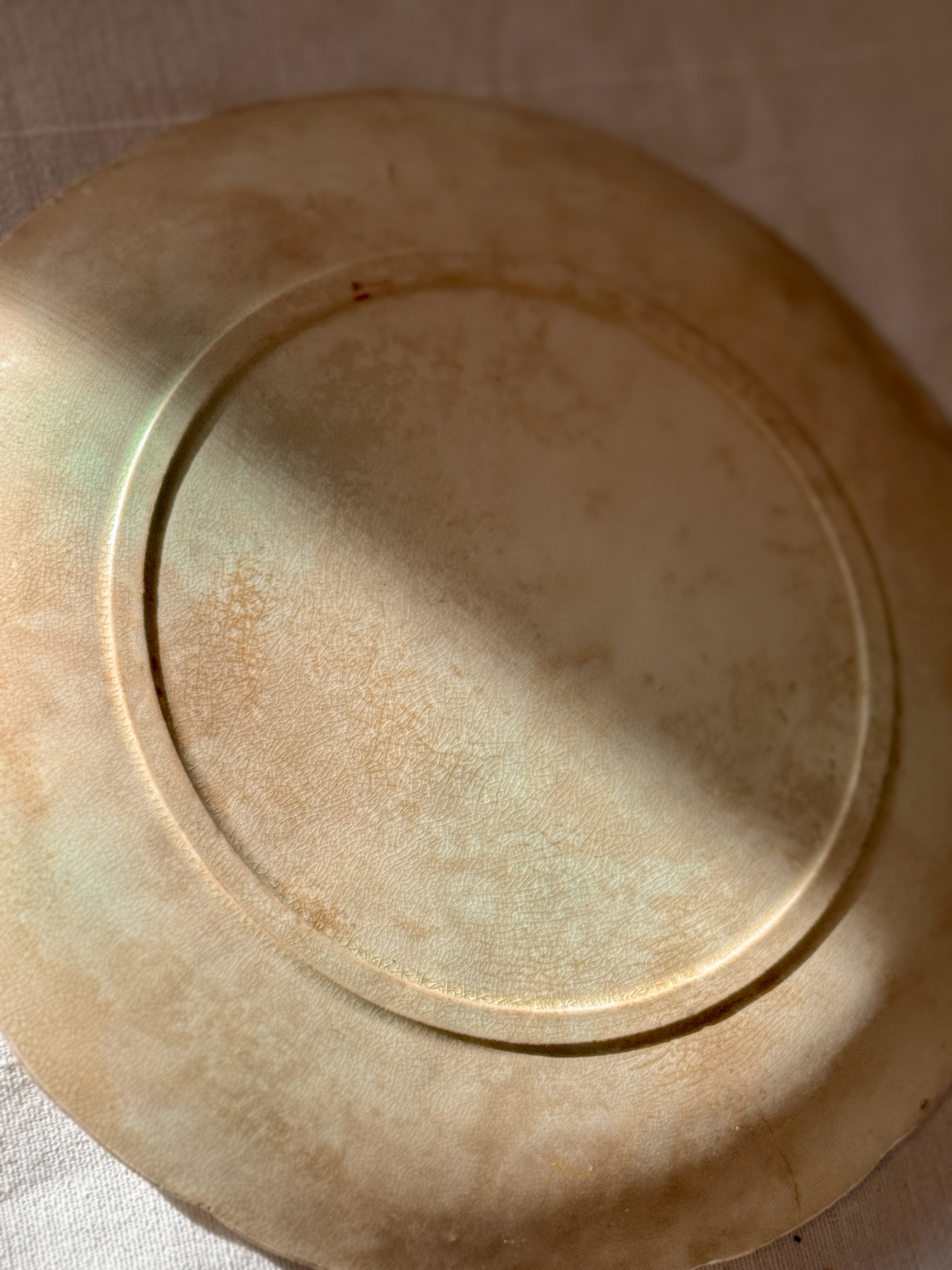 Antique Majolica Plate with Rose Relief, French, circa 1880 to 1910