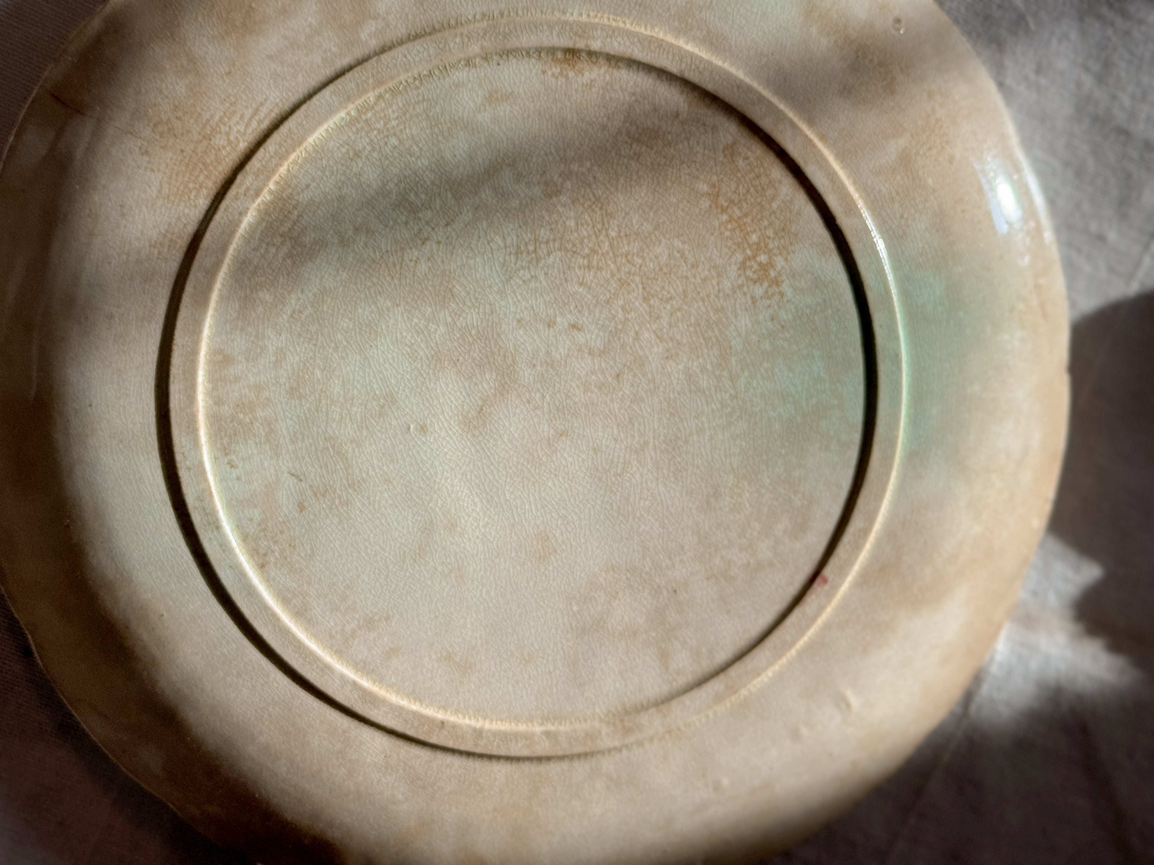 Antique Majolica Plate with Rose Relief, French, circa 1880 to 1910