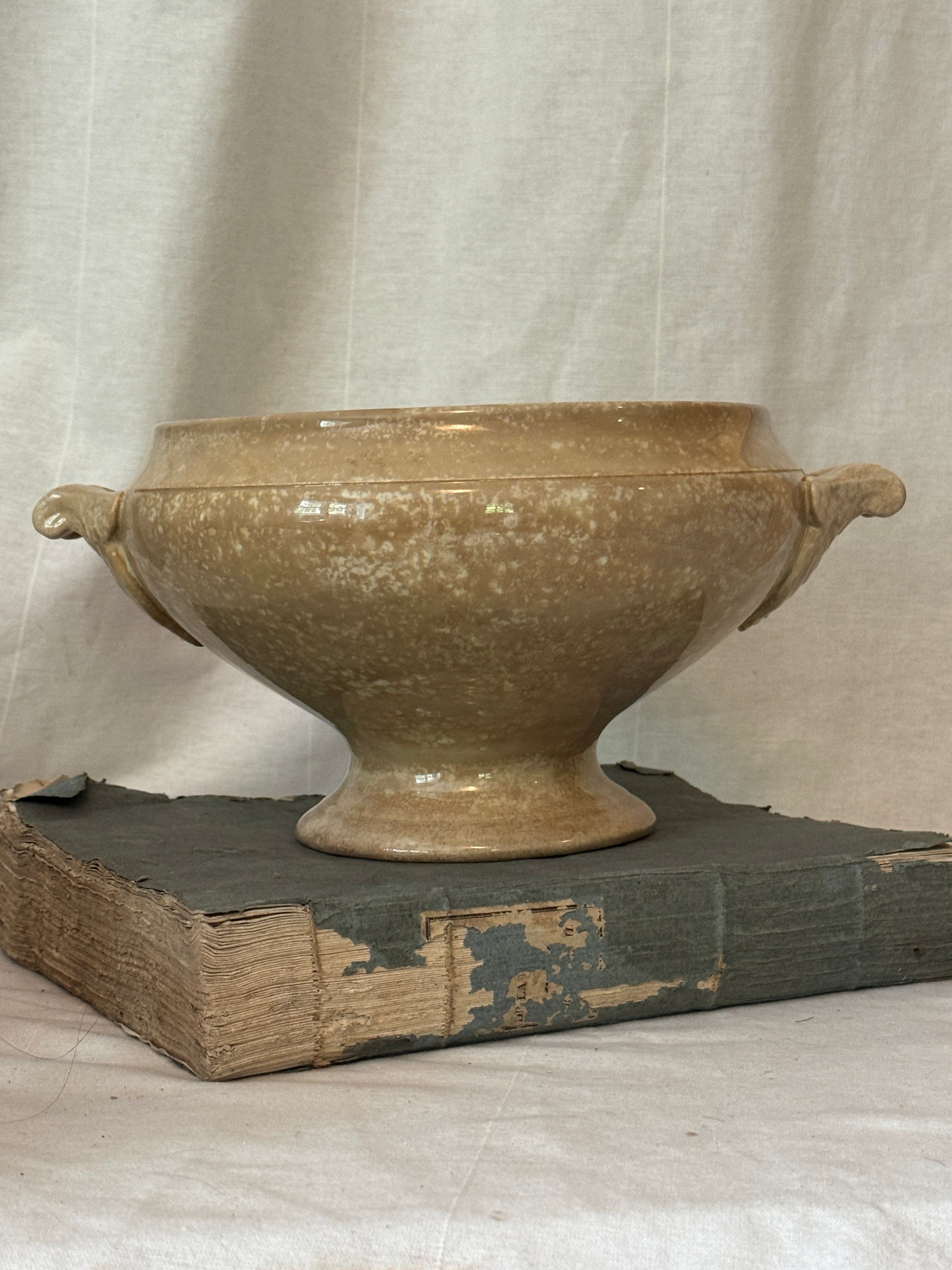 Antique French Saint-Amand Soupière, Early 20th Century