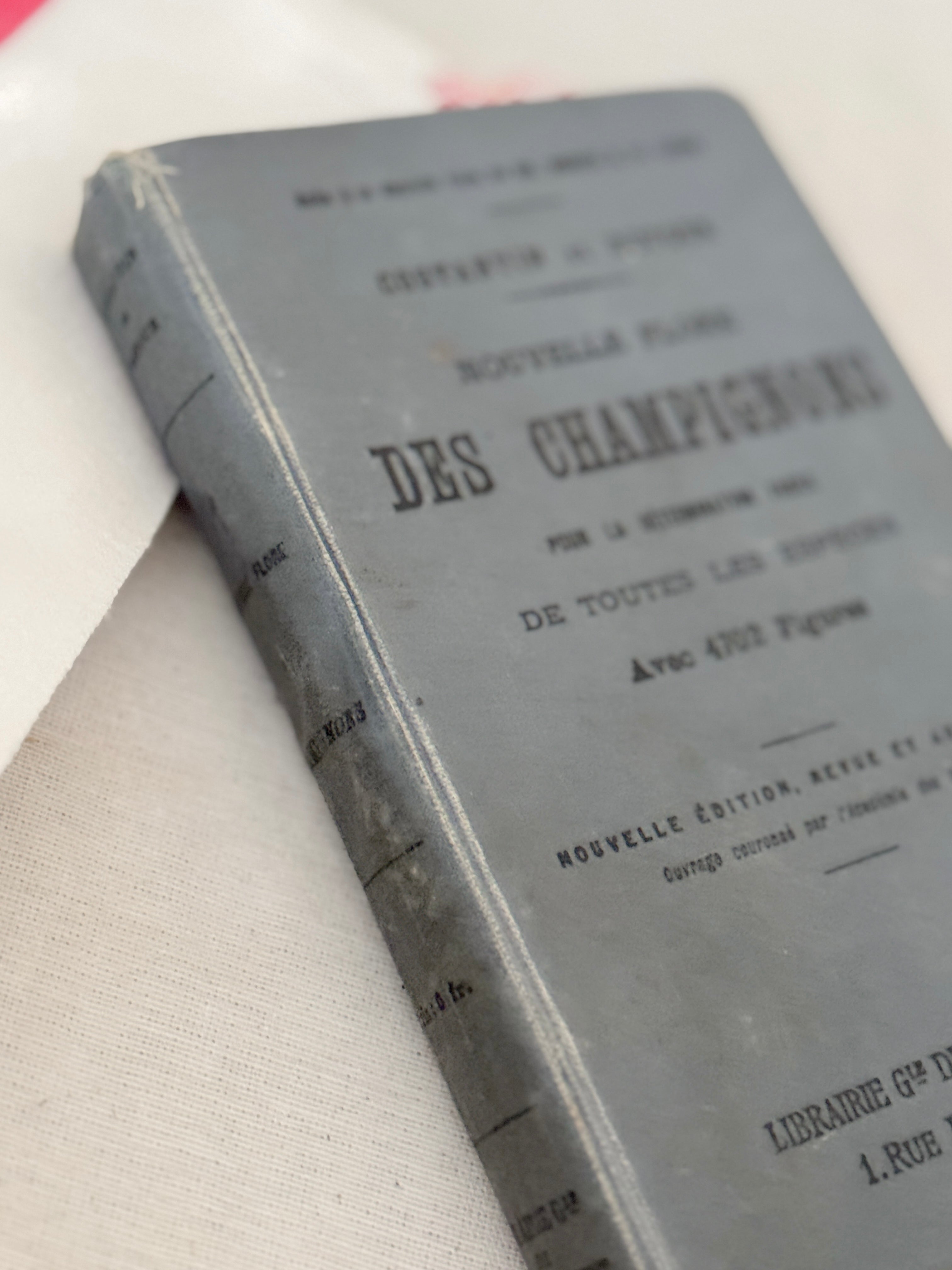 Antique French Mushroom Field Guide Nouvelle Flore des Champignons 1907