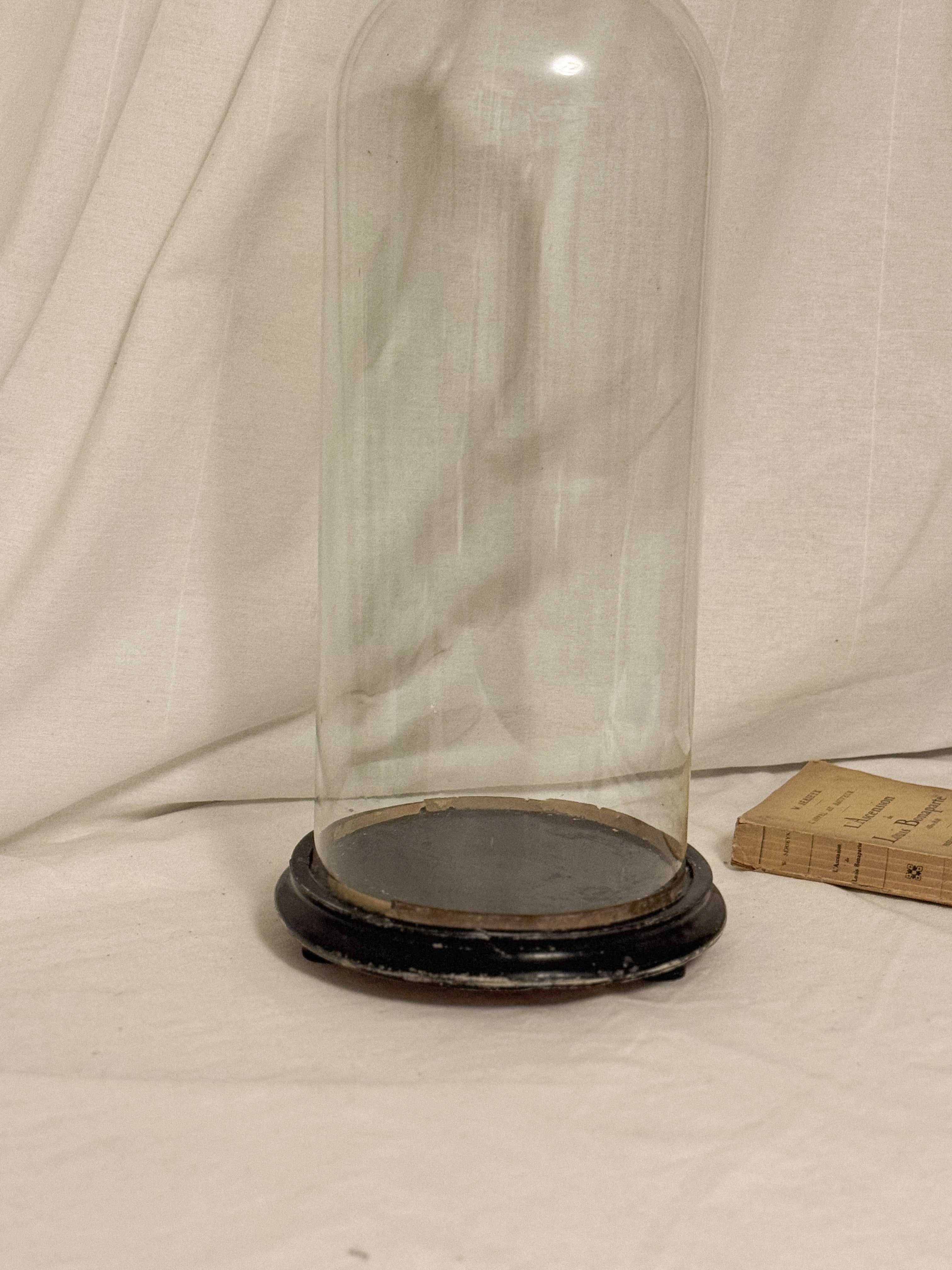 Antique French Glass Dome