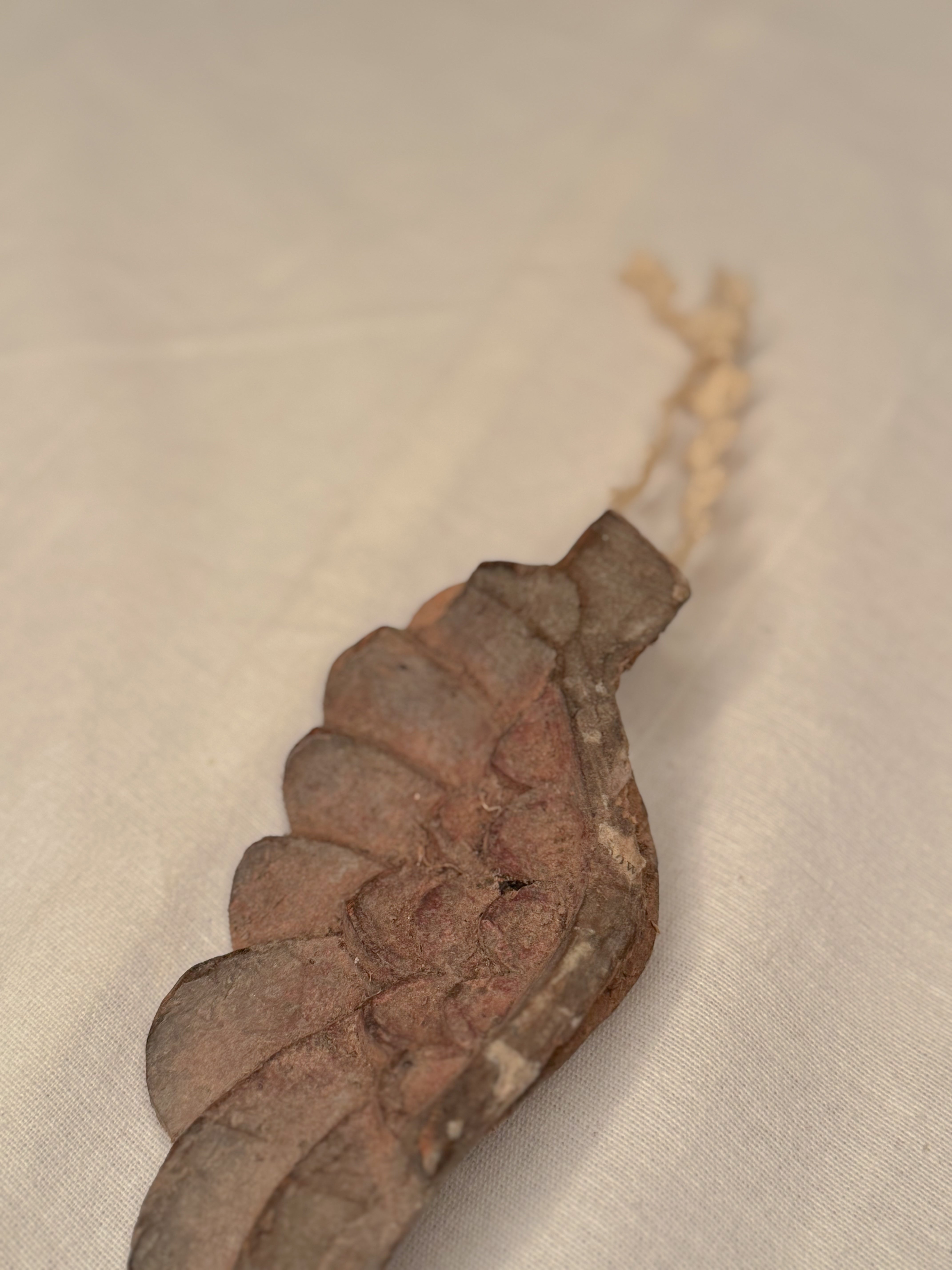 Antique French Wing Fragment Ornament — F